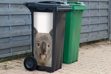MuchoWow Wandsticker Koala - Koala Bär - Mädchen - Jungen - Tiere (1 St), Mülleimer-aufkleber, Mülltonne, Sticker, Container, Abfalbehälter