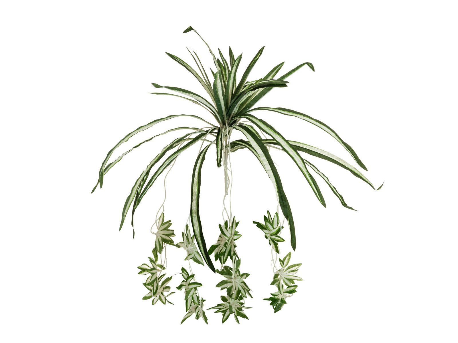Kunstpflanze EUROPALMS Grünlilie, künstlich, 60cm