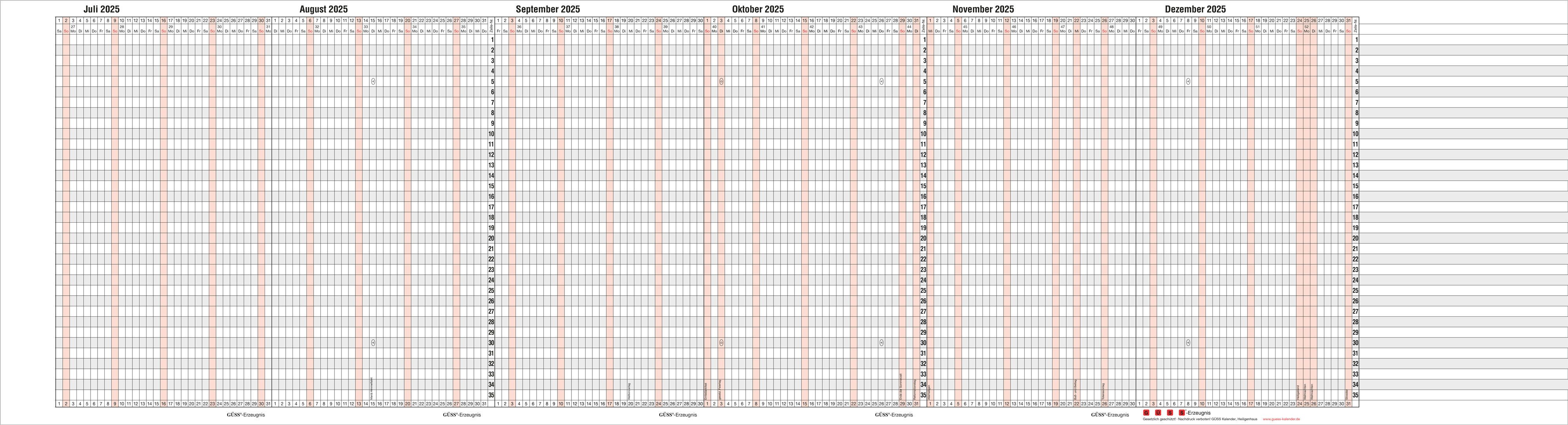 GÜSS Kalender Jahresplaner 2025 Güss Endlos-Belegungsplan 23mx30cm