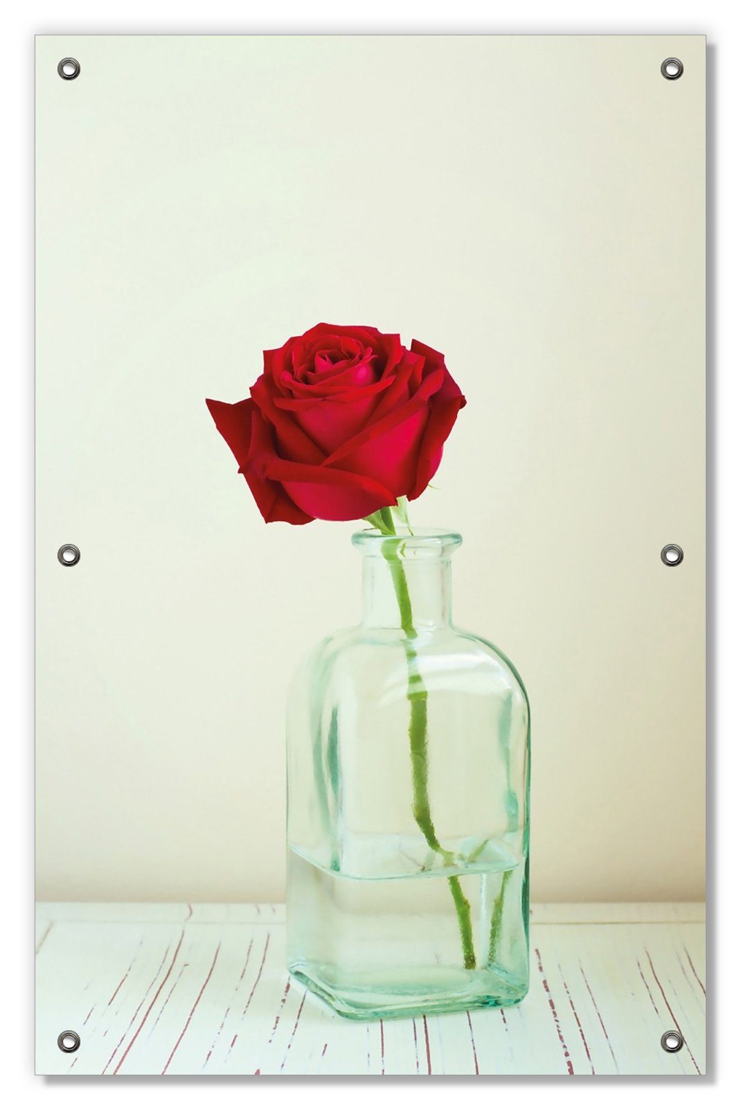 Sonnenschutz Rote Rose in Glasvase, Wallario, blickdicht, mit Saugnäpfen, wiederablösbar und wiederverwendbar