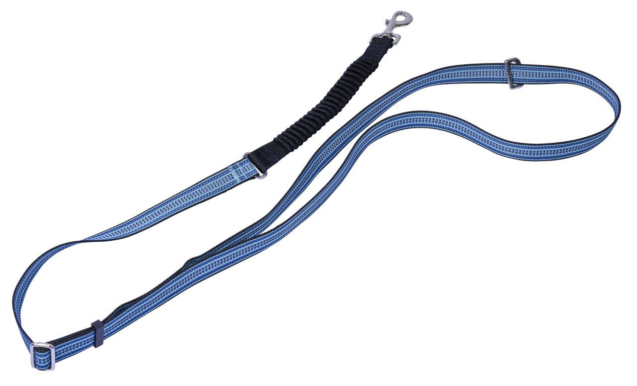 dobar Tier-Halsband Dobar Hundeleine freihändig verstellbar mit, Nylon