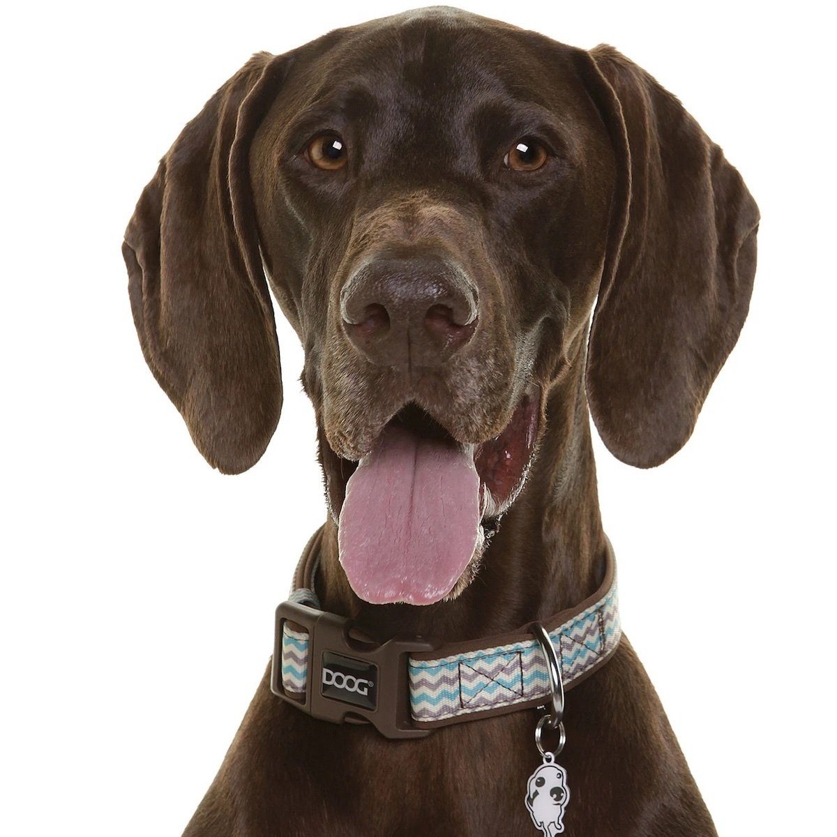 DOOG Hunde-Halsband Halsband Benji braun/blau zigzag