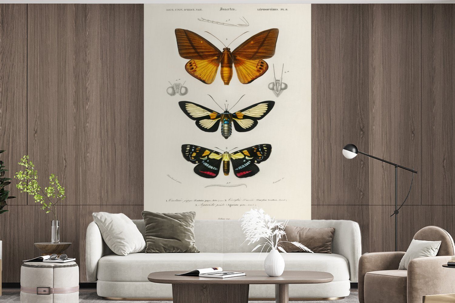 - Schmetterling bedruckt, Matt, Wohnzimmer, Vinyl Insekten, Vintage Kinderzimmer, MuchoWow Fototapete Tapete Schlafzimmer, Wallpaper - (3 St), für
