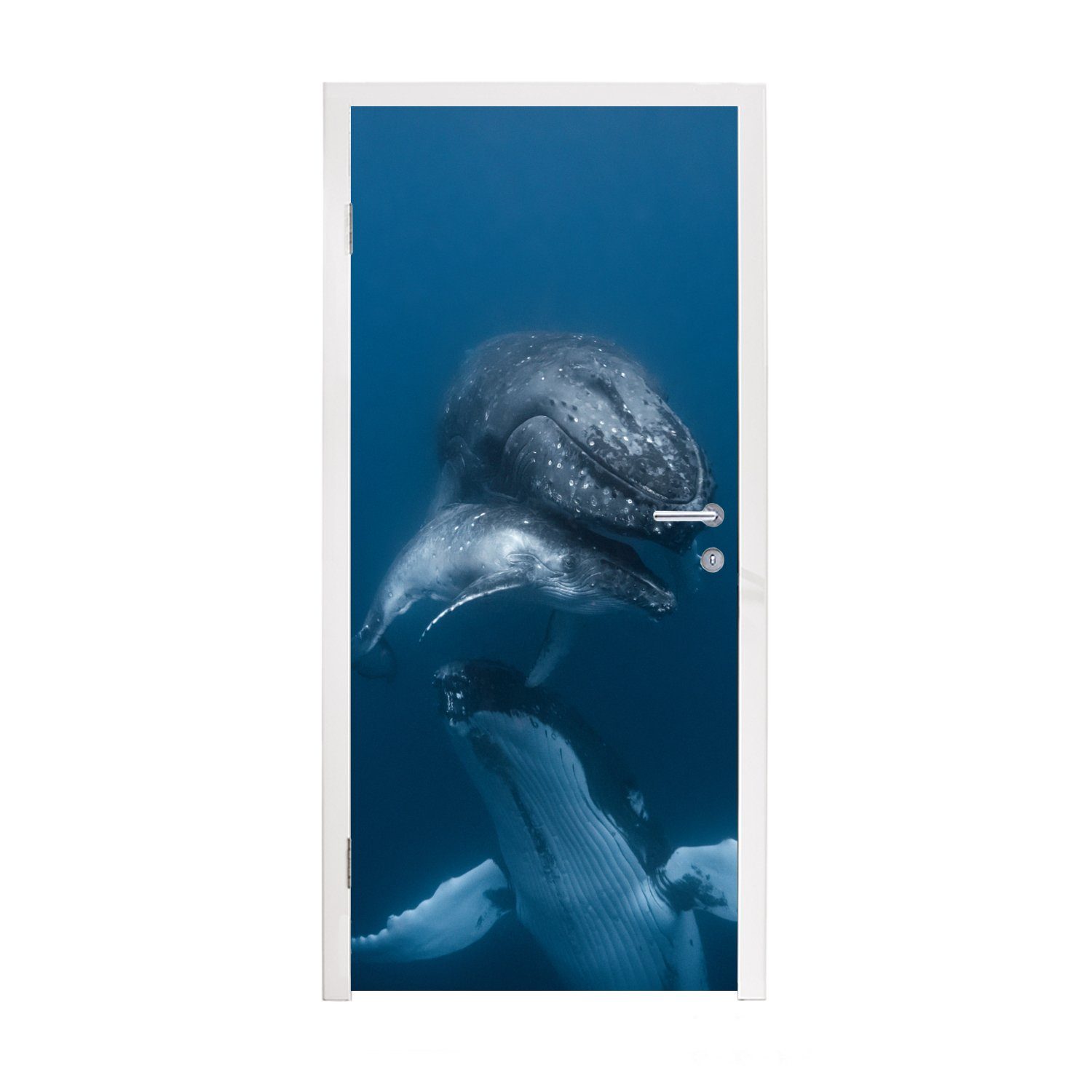 MuchoWow Türtapete Wale - Meer - Familie, Matt, bedruckt, (1 St), Fototapete für Tür, Türaufkleber, 75x205 cm
