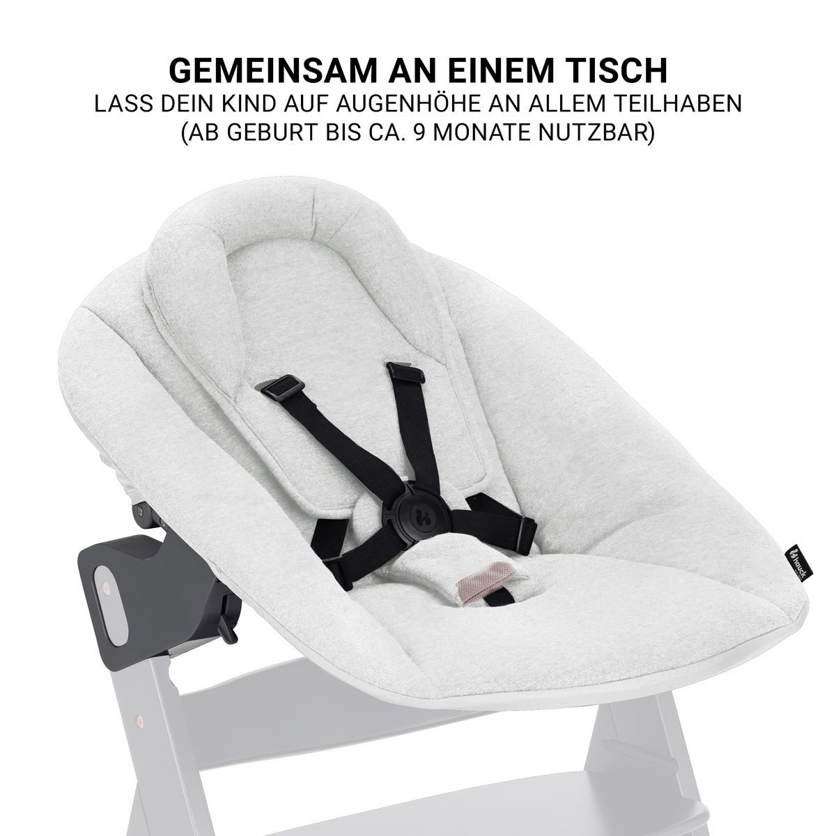 Hauck Hochstuhl Beta Plus Natural - Newborn Set Premium (Set), Babyhochstuhl ab Geburt mit Neugeborenen Aufsatz, Sitzkissen, Essbrett – Bild 5 von 5