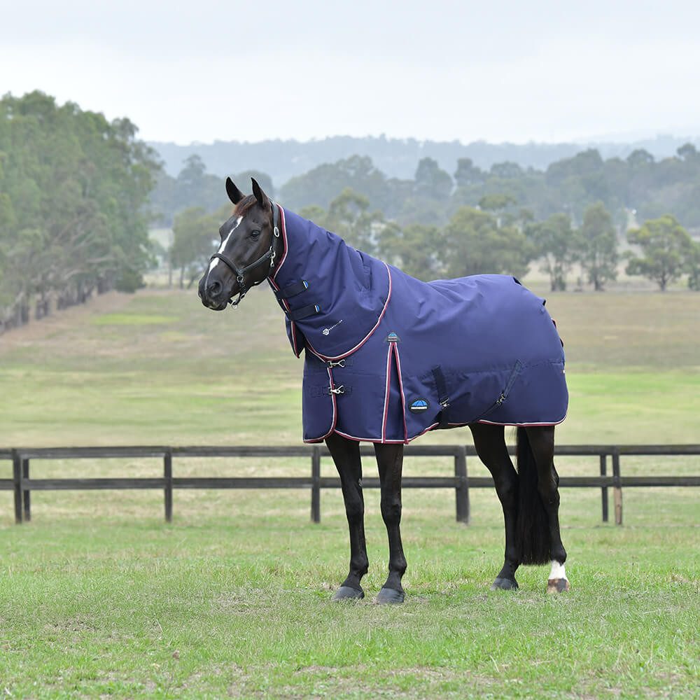Pferde-Thermodecke Weatherbeeta Comfitec Essential Turnout Detach-A-Neck 220g