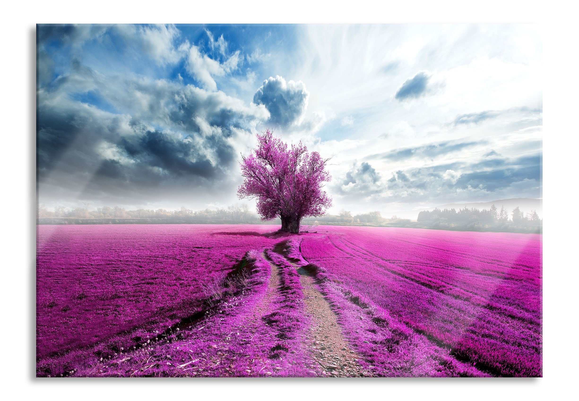 Pixxprint Glasbild Pinkes Feld mit pinkem Baum, Pinkes Feld mit pinkem Baum (1 St), Glasbild aus Echtglas, inkl. Aufhängungen und Abstandshalter