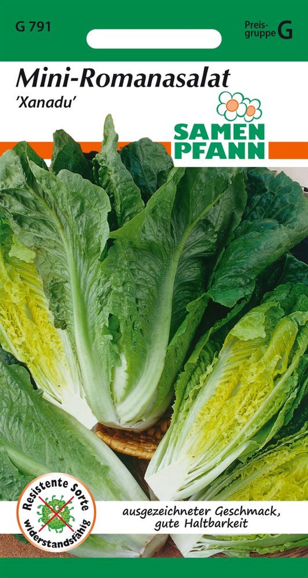 SAMEN PFANN Gemüsesamen Mini-Romanasalat, Xanadu – Saatgut Salat-Samen Samen, Lactuca sativa