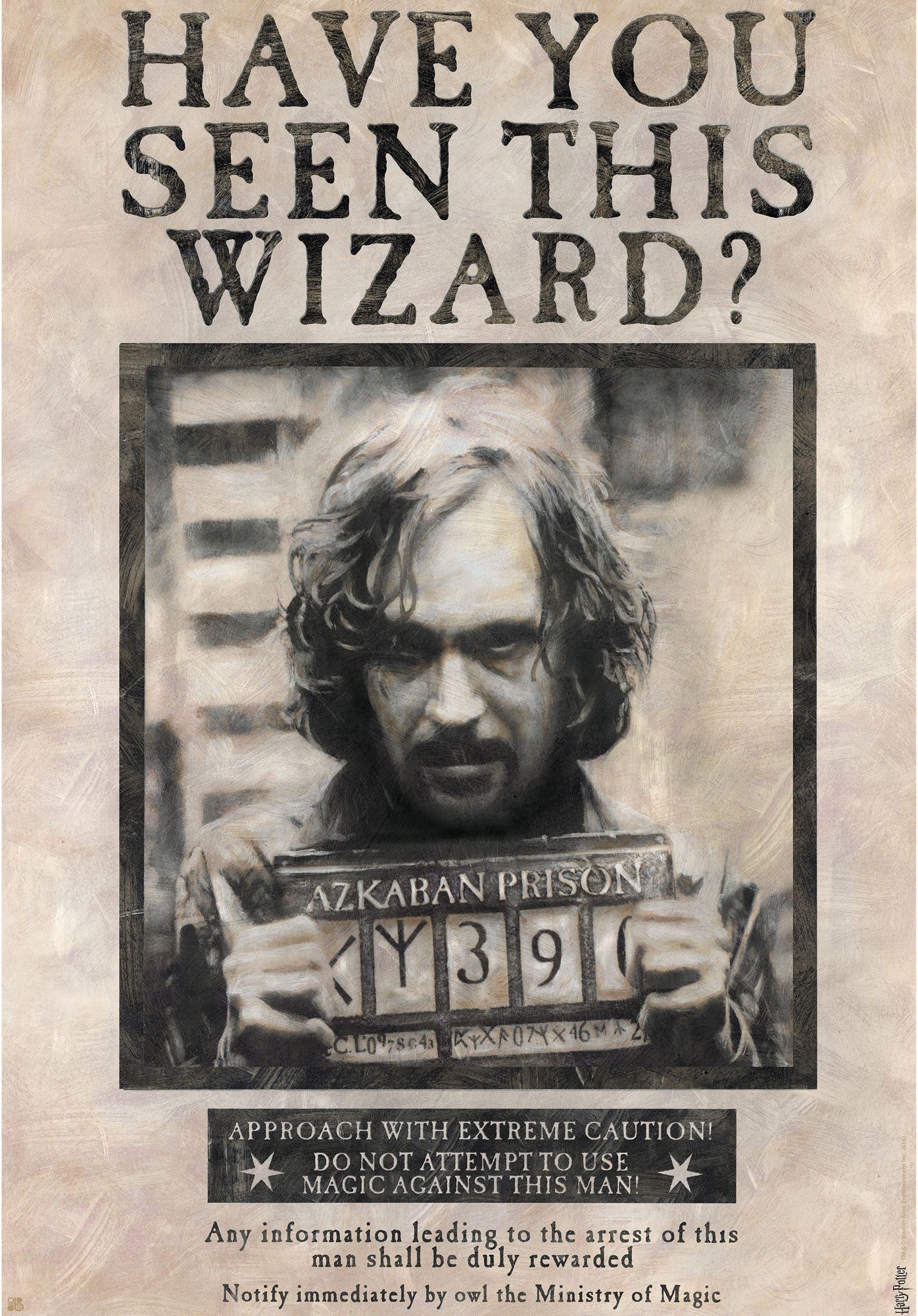 Poster Harry Potter - Poster - günstig online kaufen