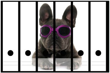 Wallario Etiketten Cooler Hund mit Sonnenbrille in pink - Französische Bulldogge, Ordnerrücken-Sticker in verschiedenen Ausführungen