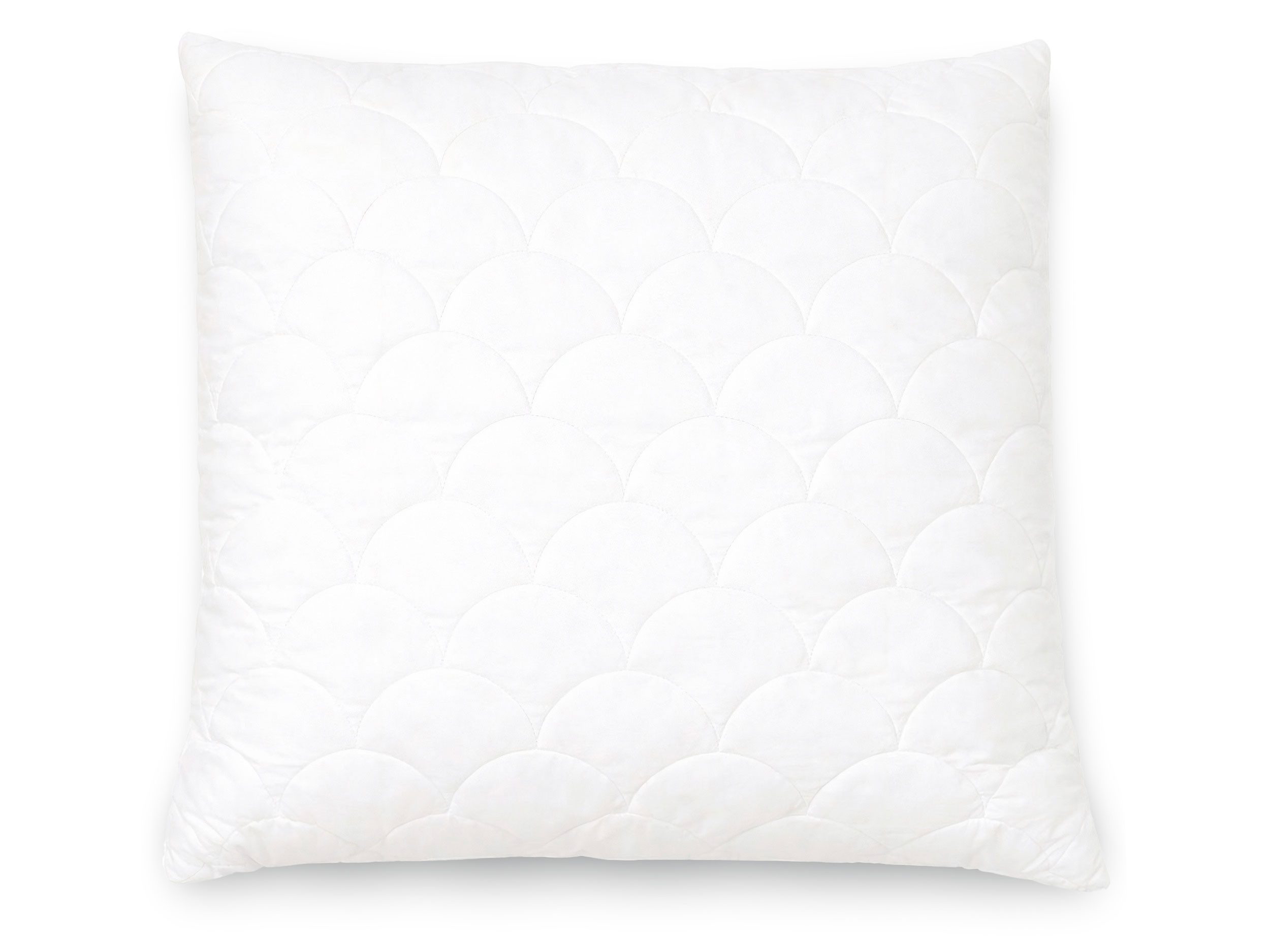 ZOLLNER Kopfkissen, Füllung: 100% Hochbauschpolyester, Bauch-, Seiten-, Rückenschläfer, 80 x 80 cm, 100% Baumwolle, vom Hotelwäschespezialisten