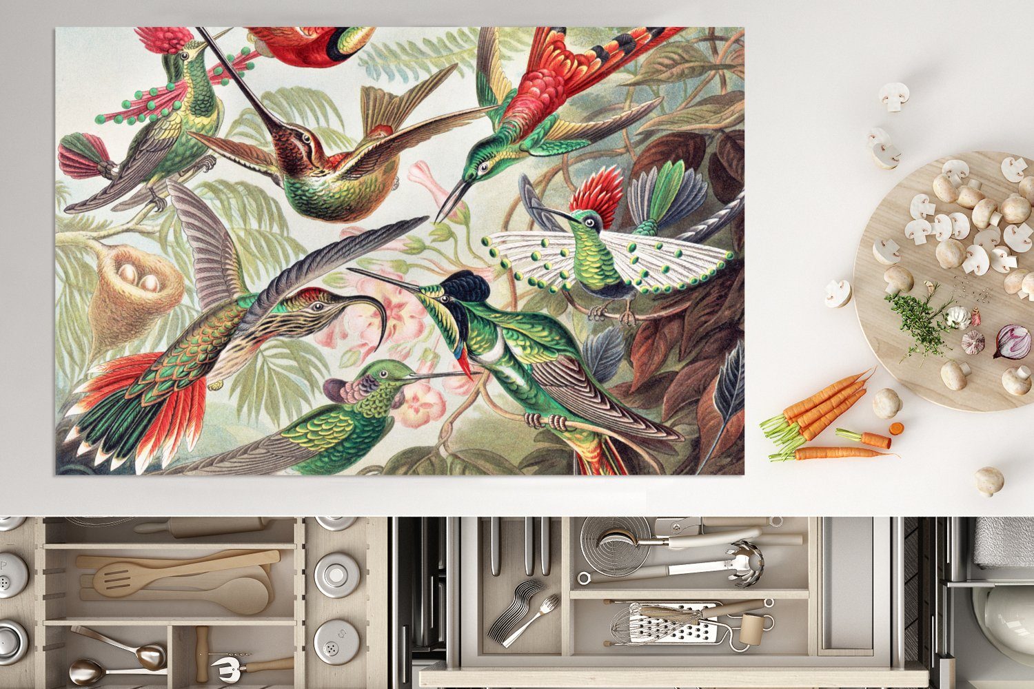 Induktionskochfeld - Haeckel Vinyl, MuchoWow Kunst Herdblende-/Abdeckplatte Ceranfeldabdeckung Ernst Schutz 80x52 - - tlg), - Natur, cm, (1 küche, für Vintage - Vogel die Kolibri