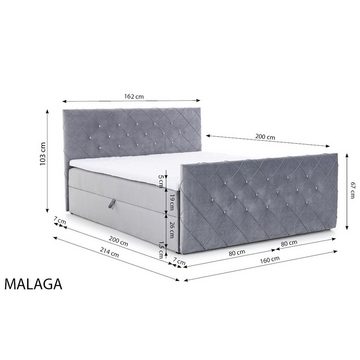 AN-MOEBEL4U Boxspringbett MALAGA mit Bettkasten, Topper, gepolstertes Kopfteil und Fußteil