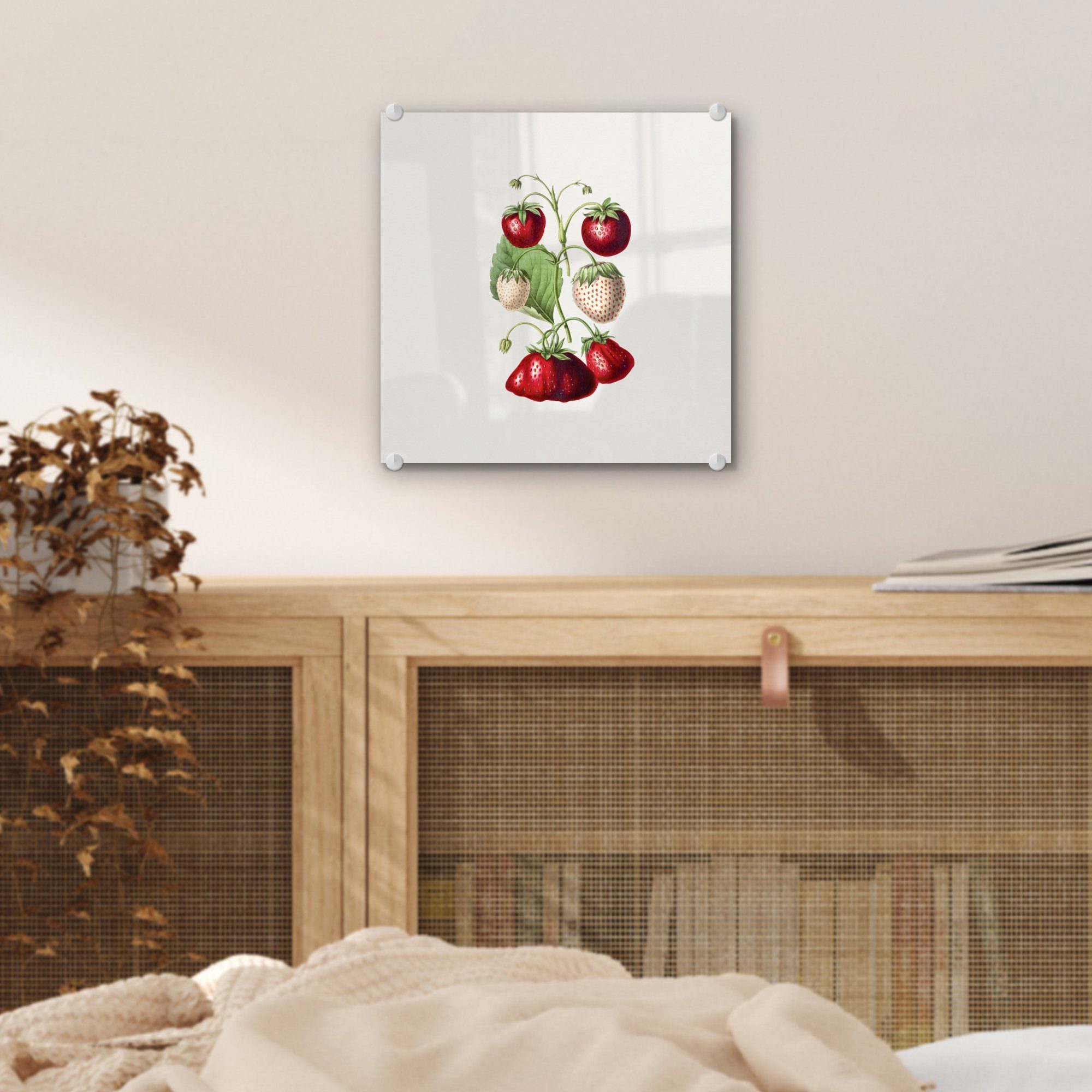 - Glas - Wanddekoration Frucht, Pflanze Erdbeeren auf MuchoWow auf St), - Wandbild Foto Glas Bilder - Acrylglasbild - (1 Glasbilder