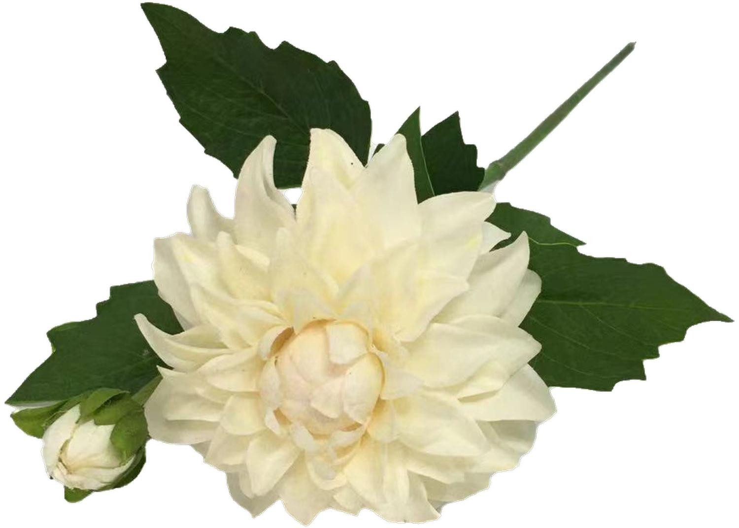 Kunstblume Künstliche Dahlie WERNYT, Creme, 45cm Dahlie, artplants, Höhe 45.0 cm