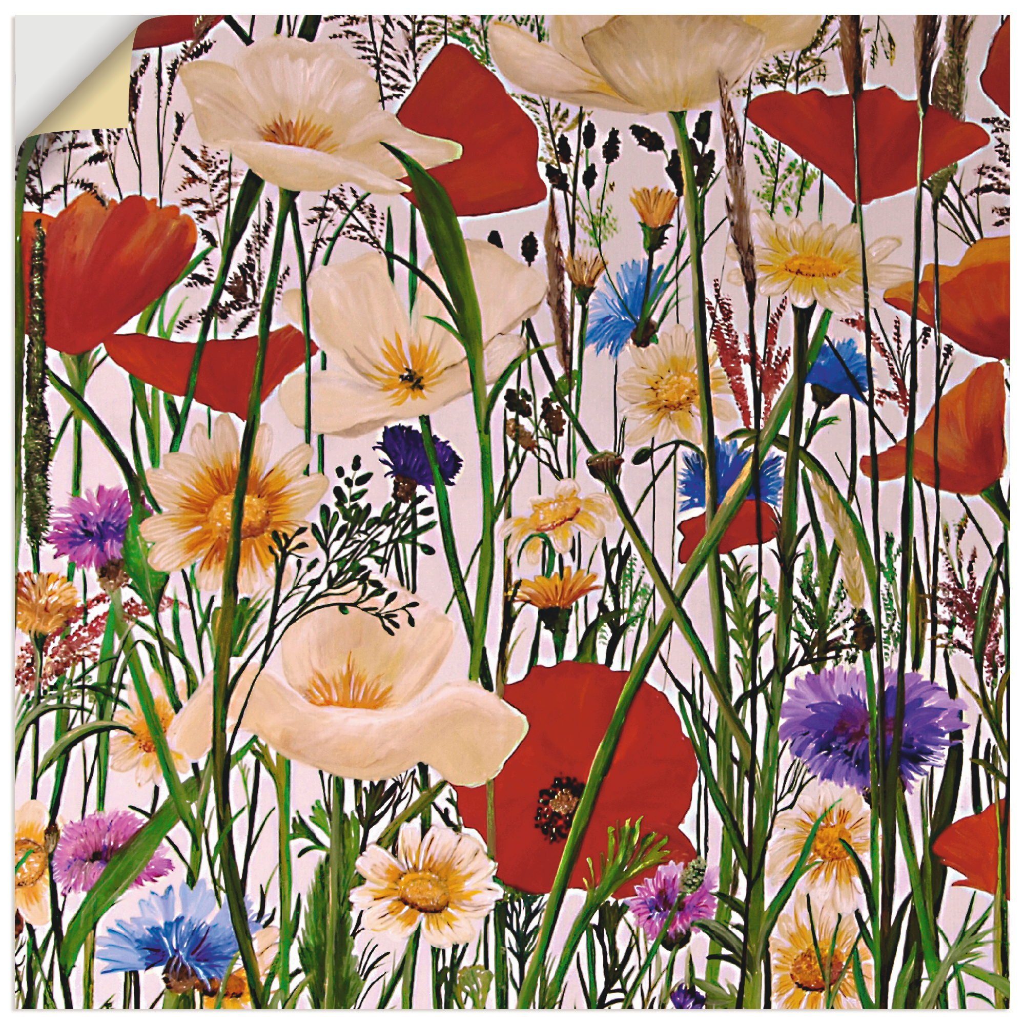 Artland Wandbild Poster versch. (1 und als St), Blumen Bunt Wandaufkleber in Größen Leinwandbild, oder Natürlich, Alubild