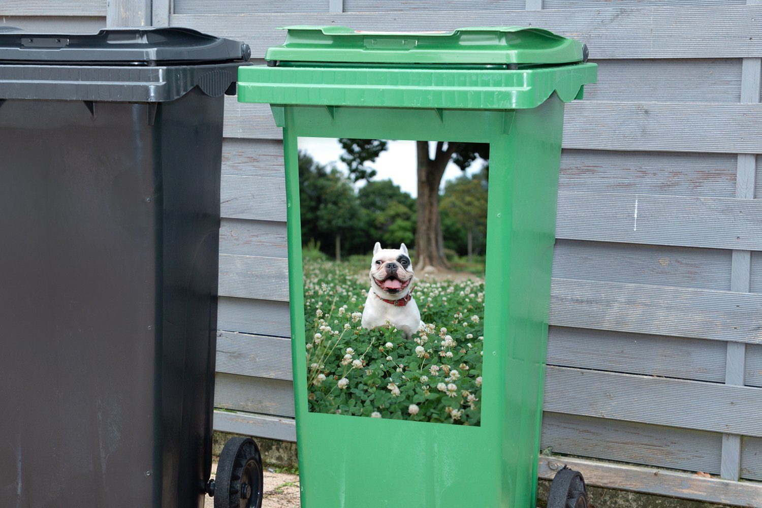 - Bulldogge St), Blumen (1 Wandsticker Container, Hund - Mülltonne, MuchoWow Abfalbehälter Mülleimer-aufkleber, Sticker,