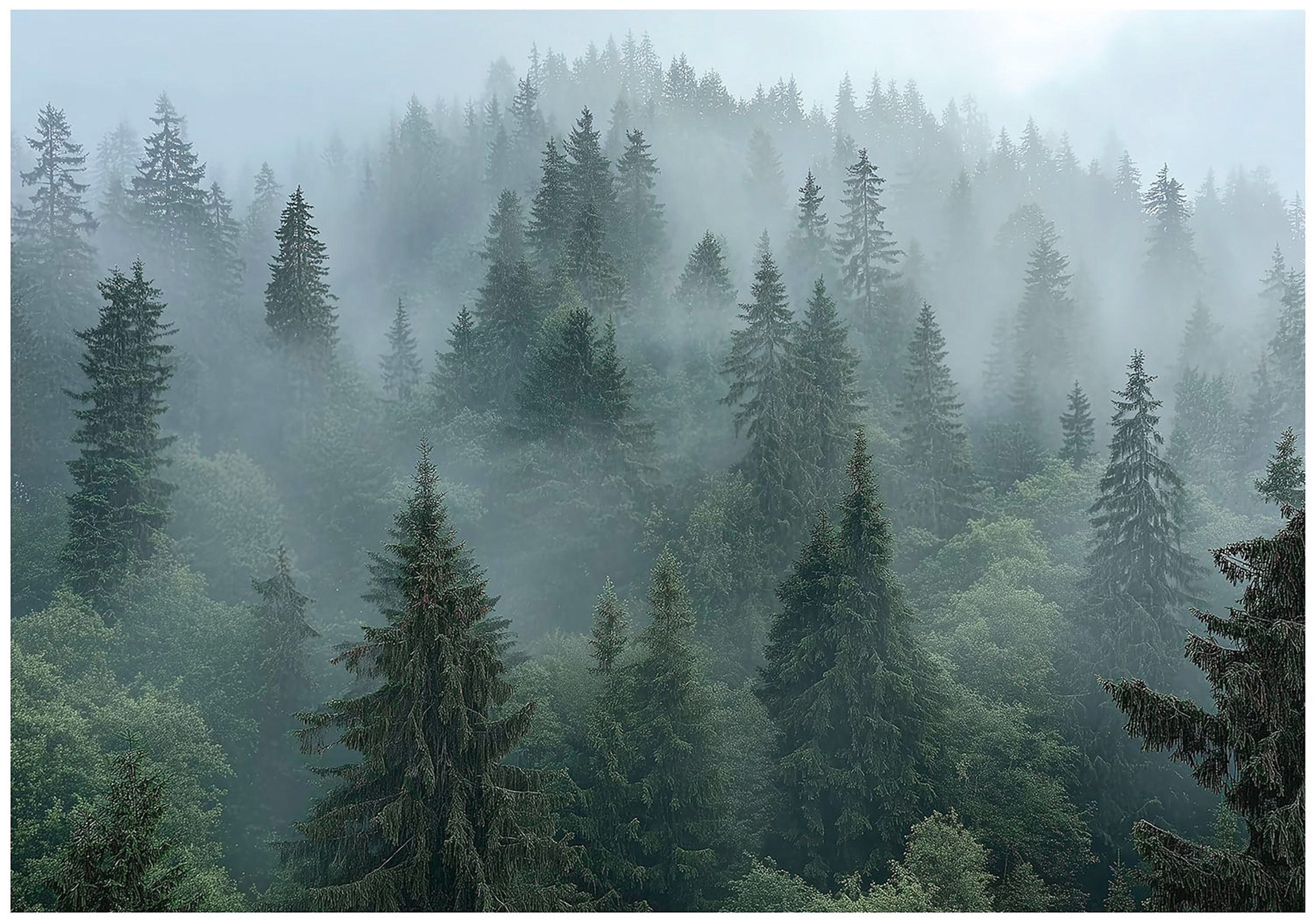 Wallarena Fototapete Wald Berge Nebel Vlies Tapete Wohnzimmer Schlafzimmer Wandtapete, Glatt Vlies Washable, Wald, Nebel, Gebrige, Berge, Baume, (Packung, 8 St., Vlies Fototapete), Vliestapete Grün Wohnzimmer Schlafzimmer Küche Tapete + Kleister