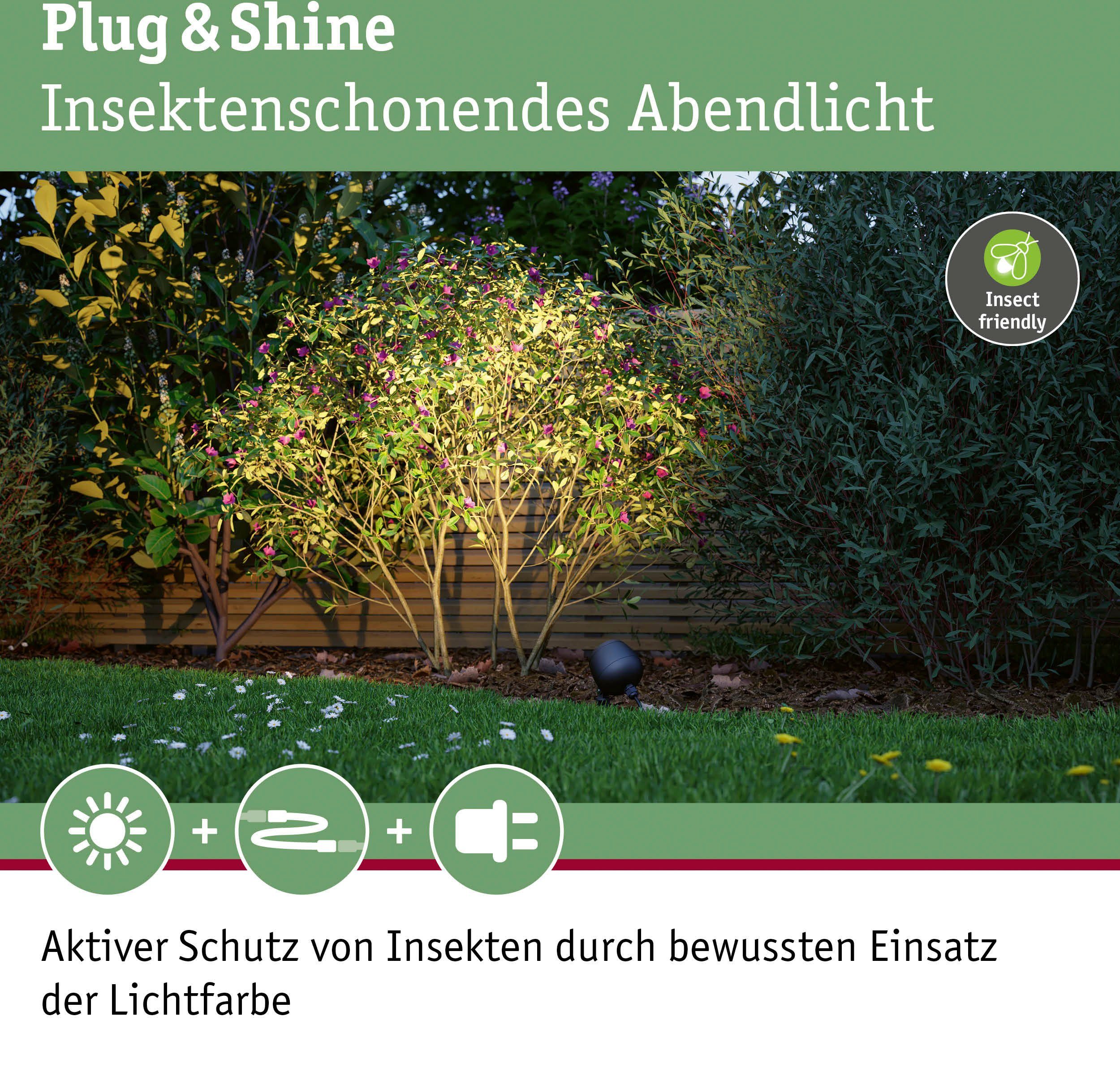 Paulmann LED Gartenleuchte fest Plug Insektenfreundlich Warmweiß, Spot & Outdoor integriert, Shine ZigBee, friendly LED Insect Kikolo