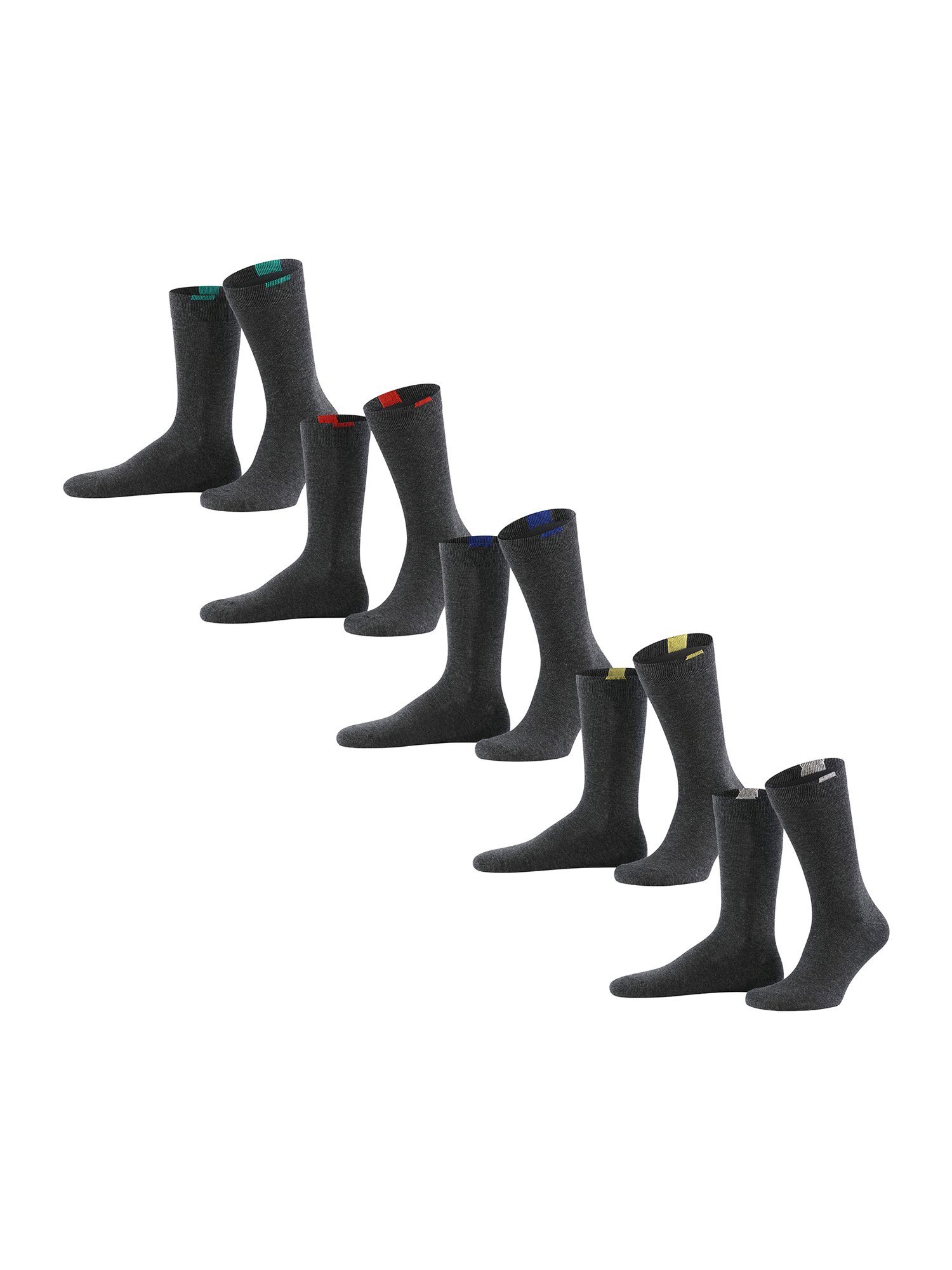 DIM Basicsocken Eco (5-Paar) grau | Socken