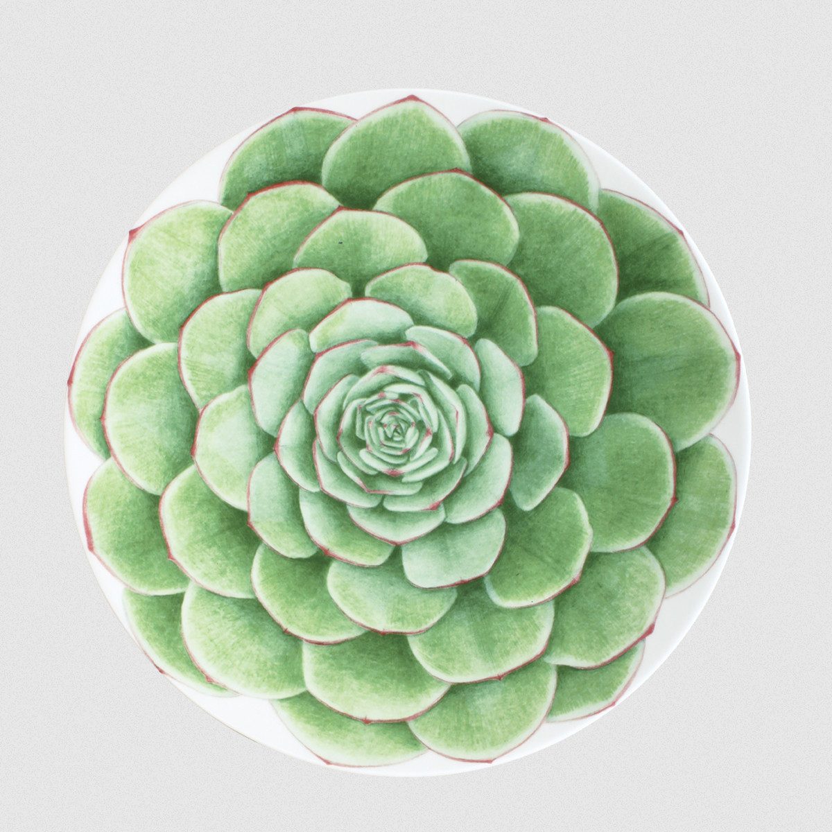 TAITÙ Teller Desert Rose