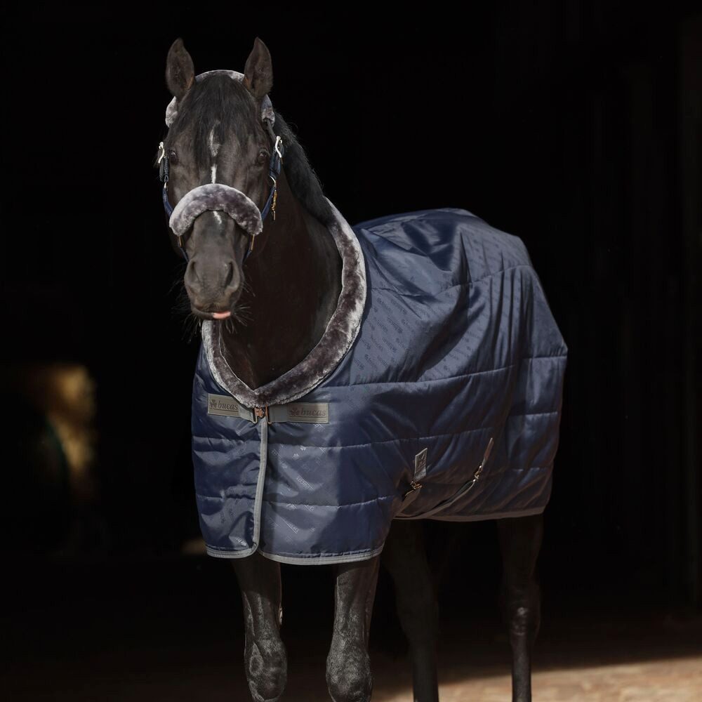 Bucas Pferde-Abschwitzdecke Bucas Show-Line Stable Rug 150g SF