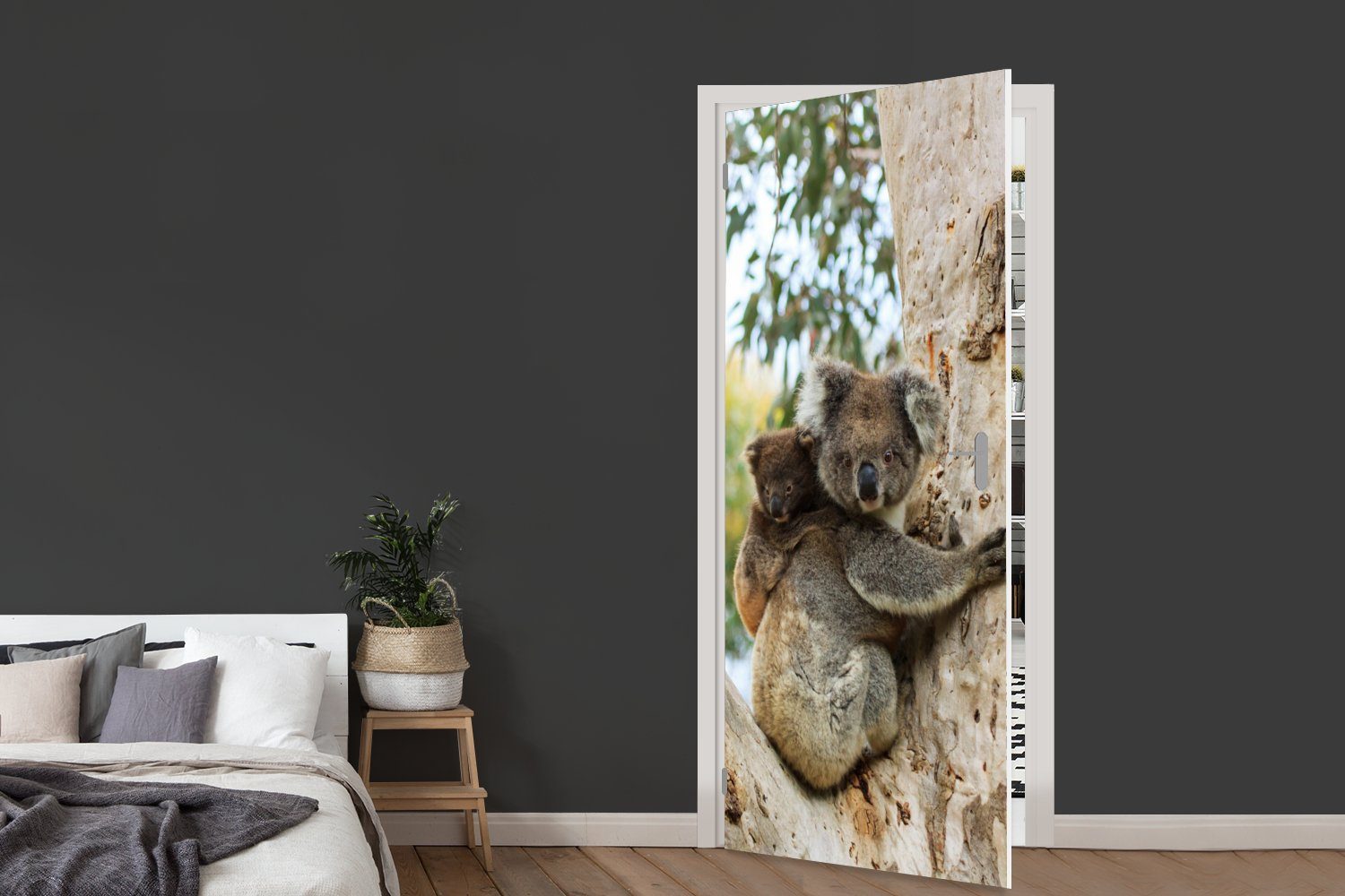 Fototapete 75x205 St), Jungen Matt, bedruckt, - (1 Kind Koalas für Baum - MuchoWow Türtapete Mädchen, Tür, - - Türaufkleber, cm