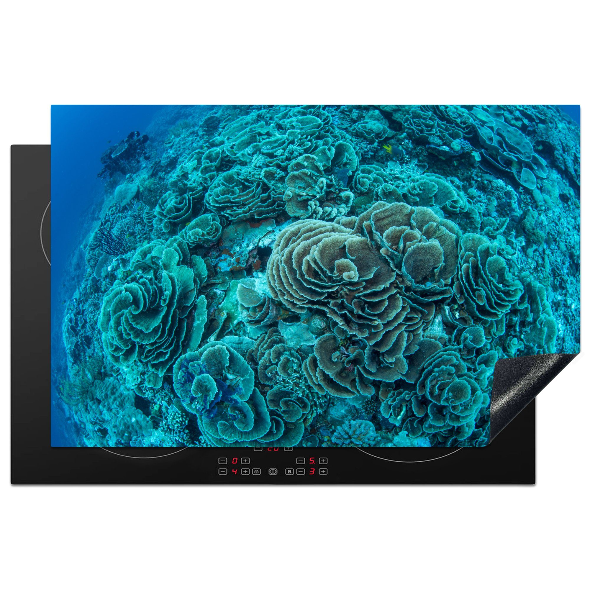 MuchoWow Herdblende-/Abdeckplatte Salatförmige Koralle im Wakatobi Marine Park in Indonesien, Vinyl, (1 tlg), 81x52 cm, Induktionskochfeld Schutz für die küche, Ceranfeldabdeckung