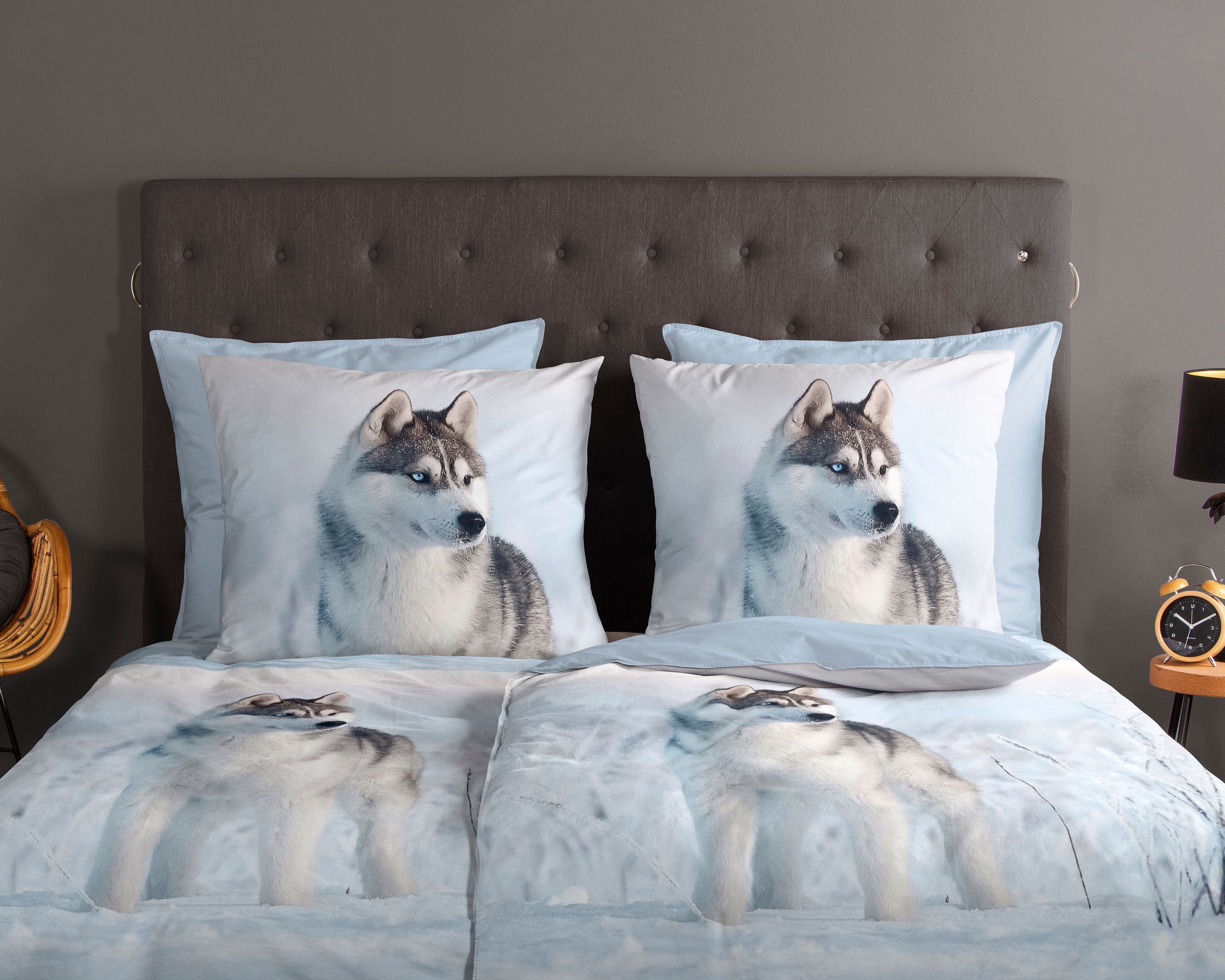 good morning Wendebettwäsche Sachar, Renforcé, 2 teilig, Baumwolle, 135x200, Reißverschluss, Wendeoptik, Winter, Husky, Blau