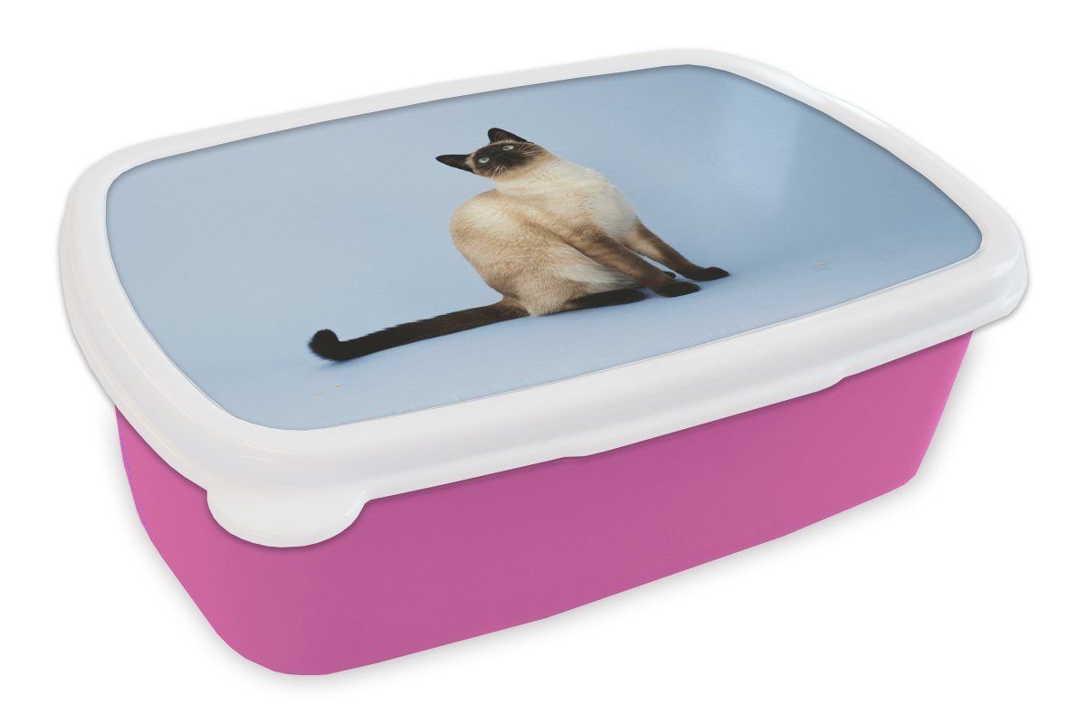 MuchoWow Lunchbox Eine Siamkatze in einem blauen Atelier, Kunststoff, (2-tlg), Brotbox für Erwachsene, Brotdose Kinder, Snackbox, Mädchen, Kunststoff rosa | Lunchboxen