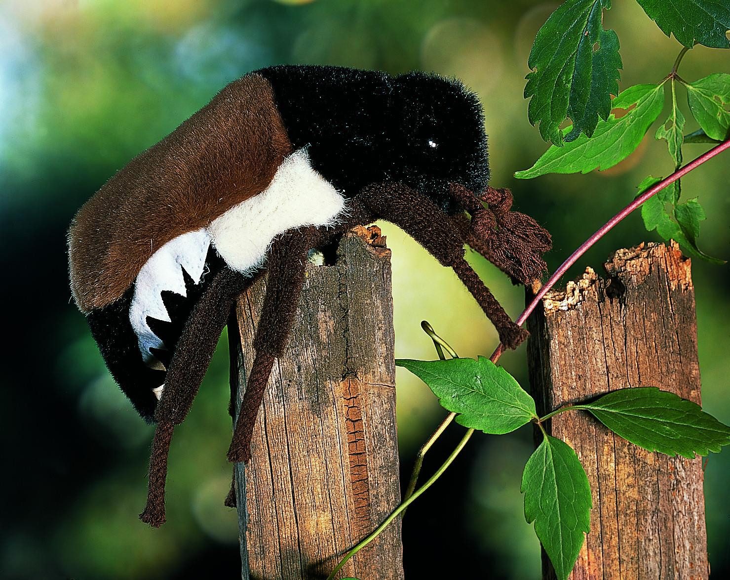 Kösen Kuscheltier Kösen Maikäfer Kalle 14 cm Stofftier