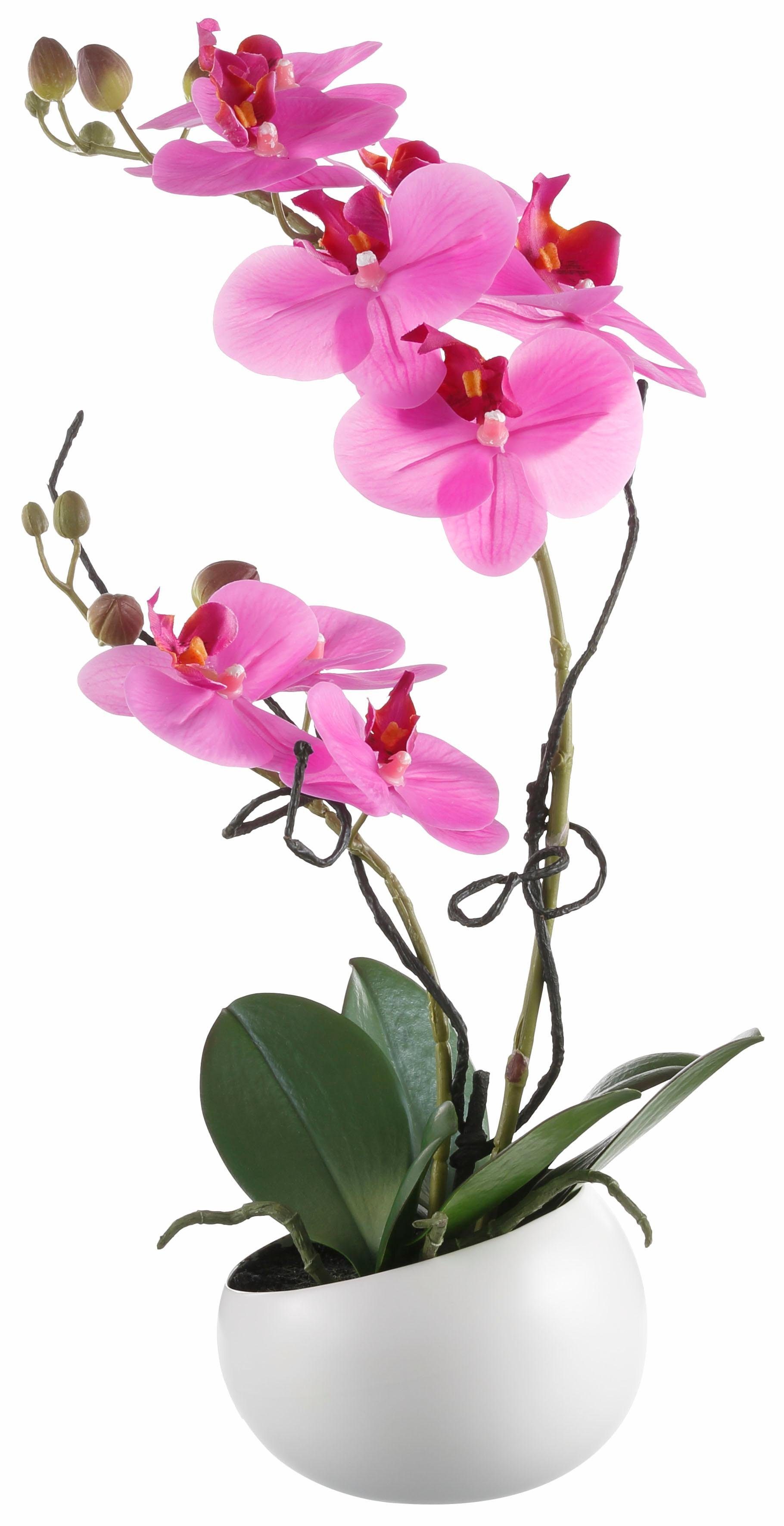 Kunstpflanze Orchidee Orchidee, Creativ green, Höhe günstig online kaufen