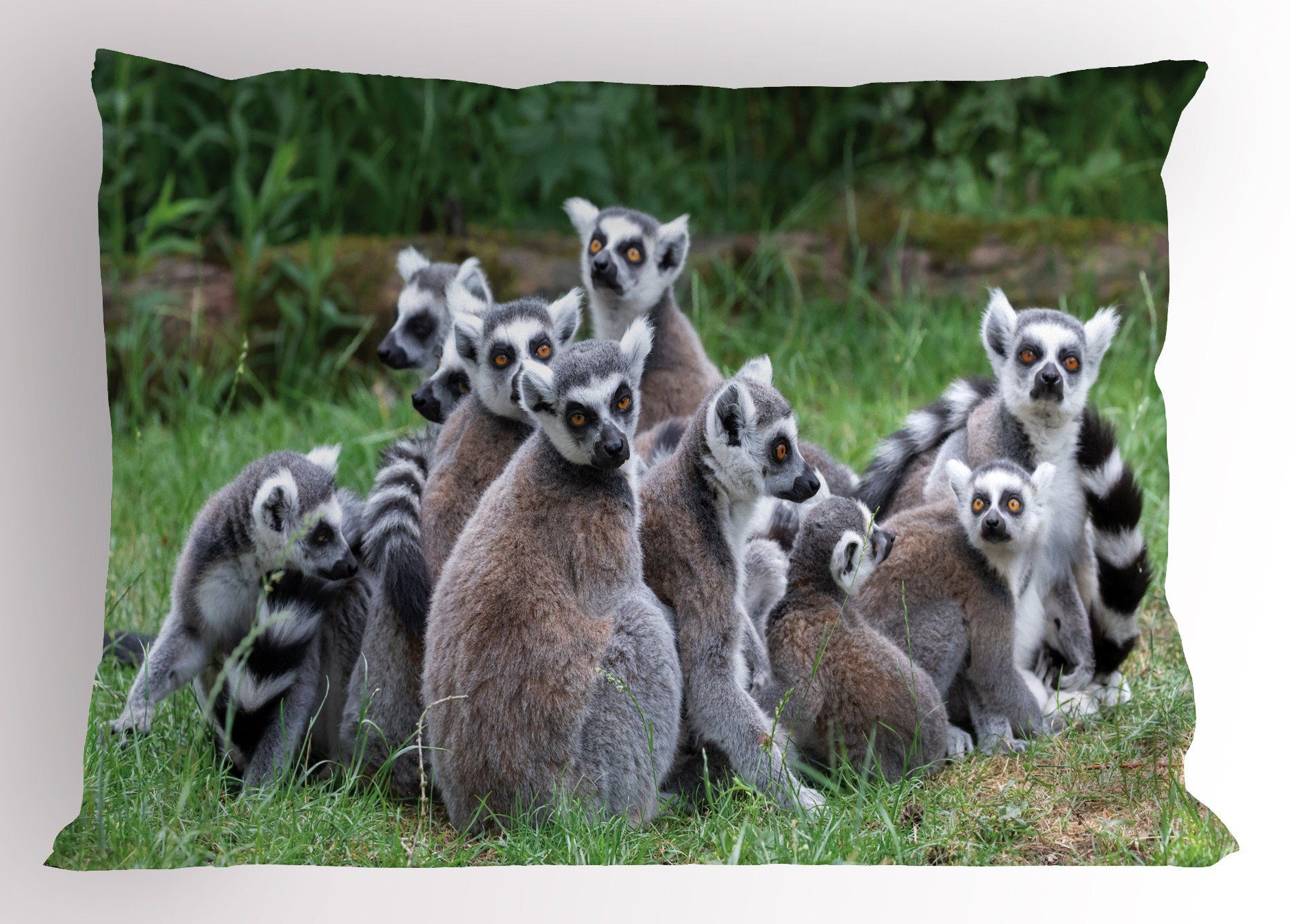 Kissenbezüge Dekorativer Standard King Size Gedruckter Kissenbezug, Abakuhaus (1 Stück), Lemur Ring angebundene Madagaskar Affe