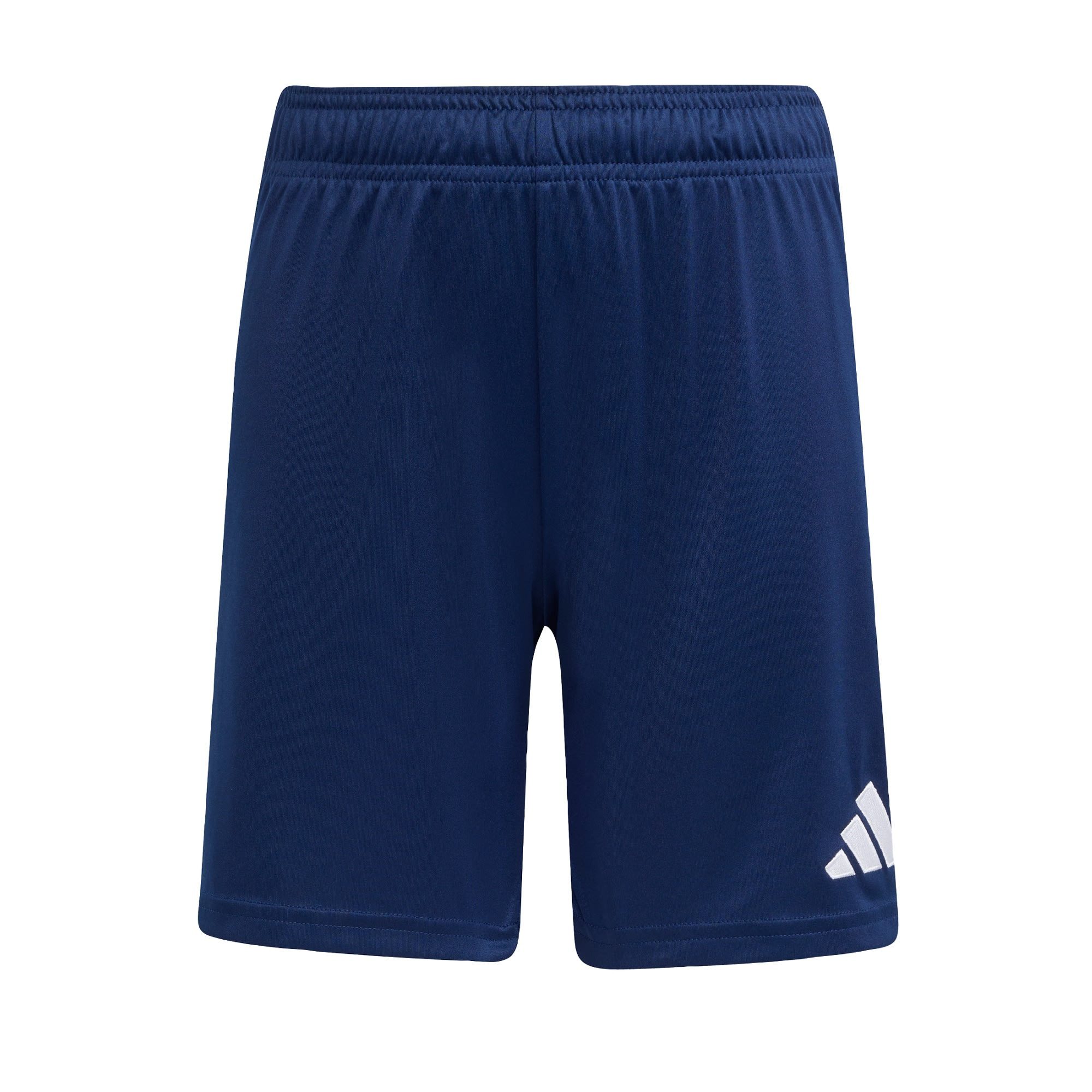 Team Navy Blue 2 / White