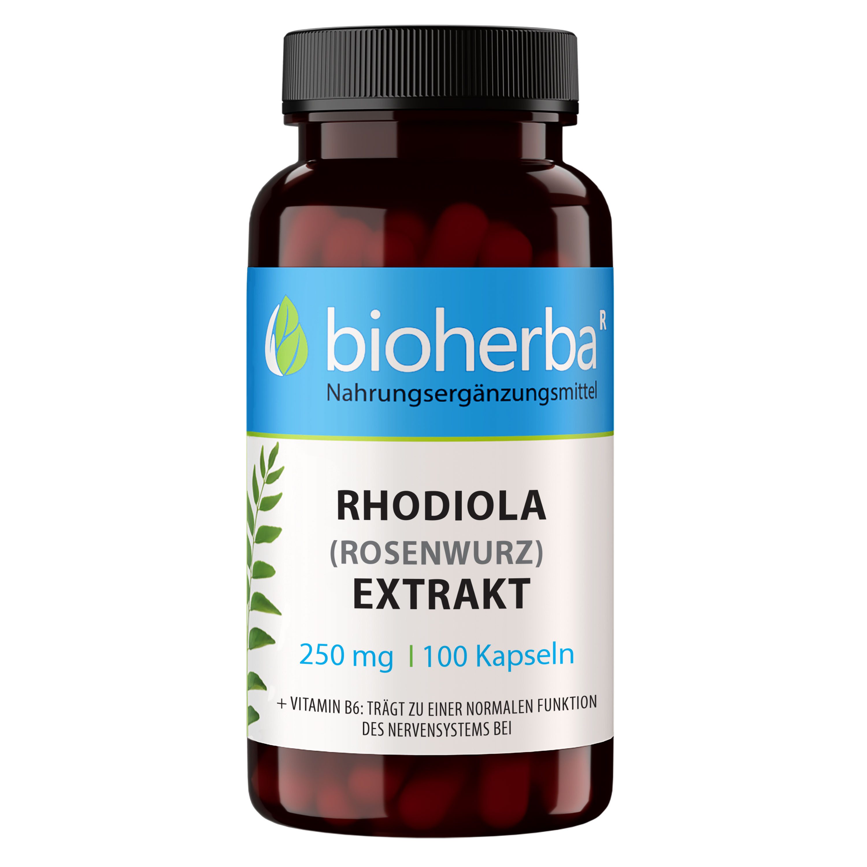 BIOHERBA R Bioherba Rhodiola (Rosenwurz) Extrakt 250 mg 100 Kapseln Nahrungsergänzungsmittel, 1 er