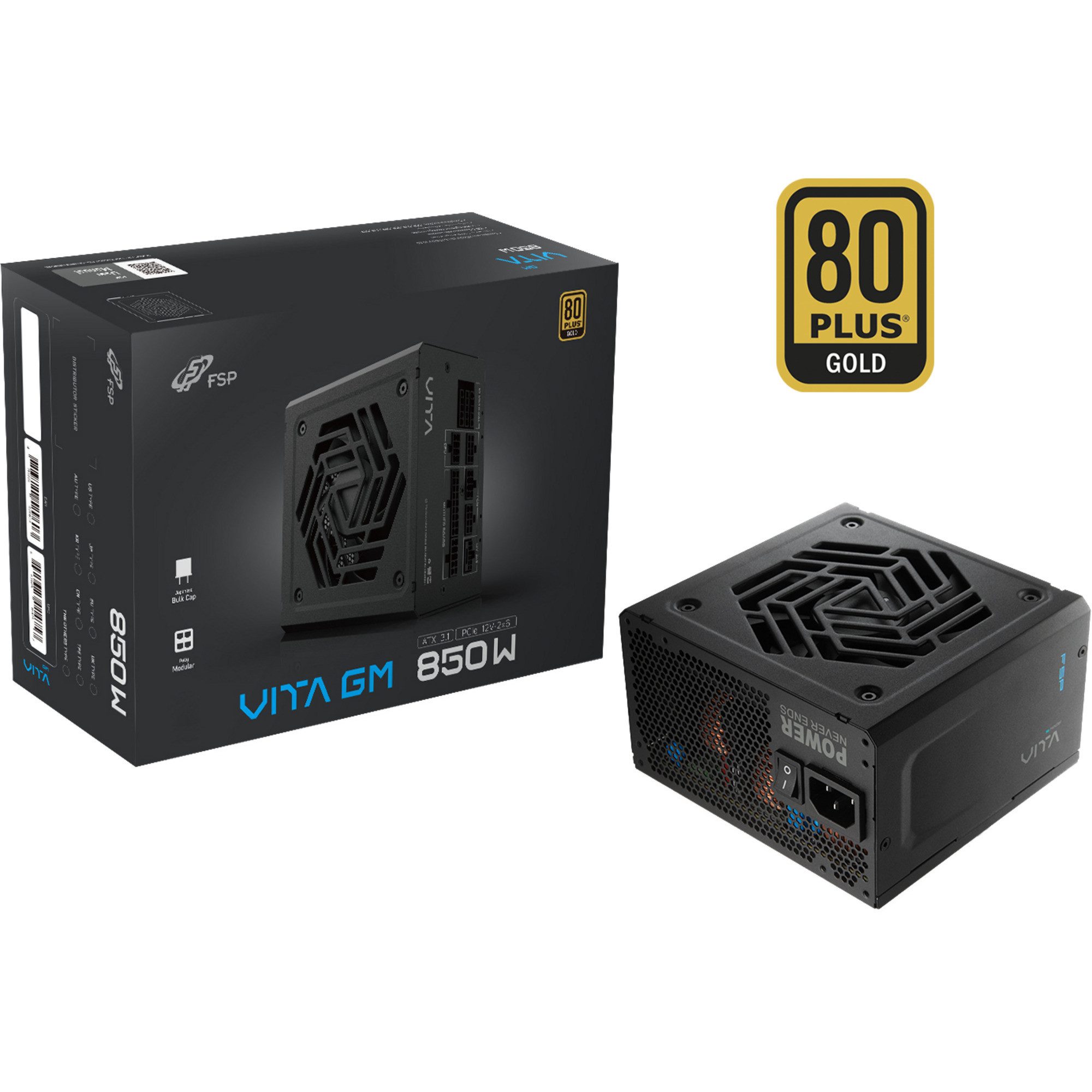 Fortron FSP VITA GM 850W, PC-Netzteil PC-Netzteil (80 PLUS Gold)
