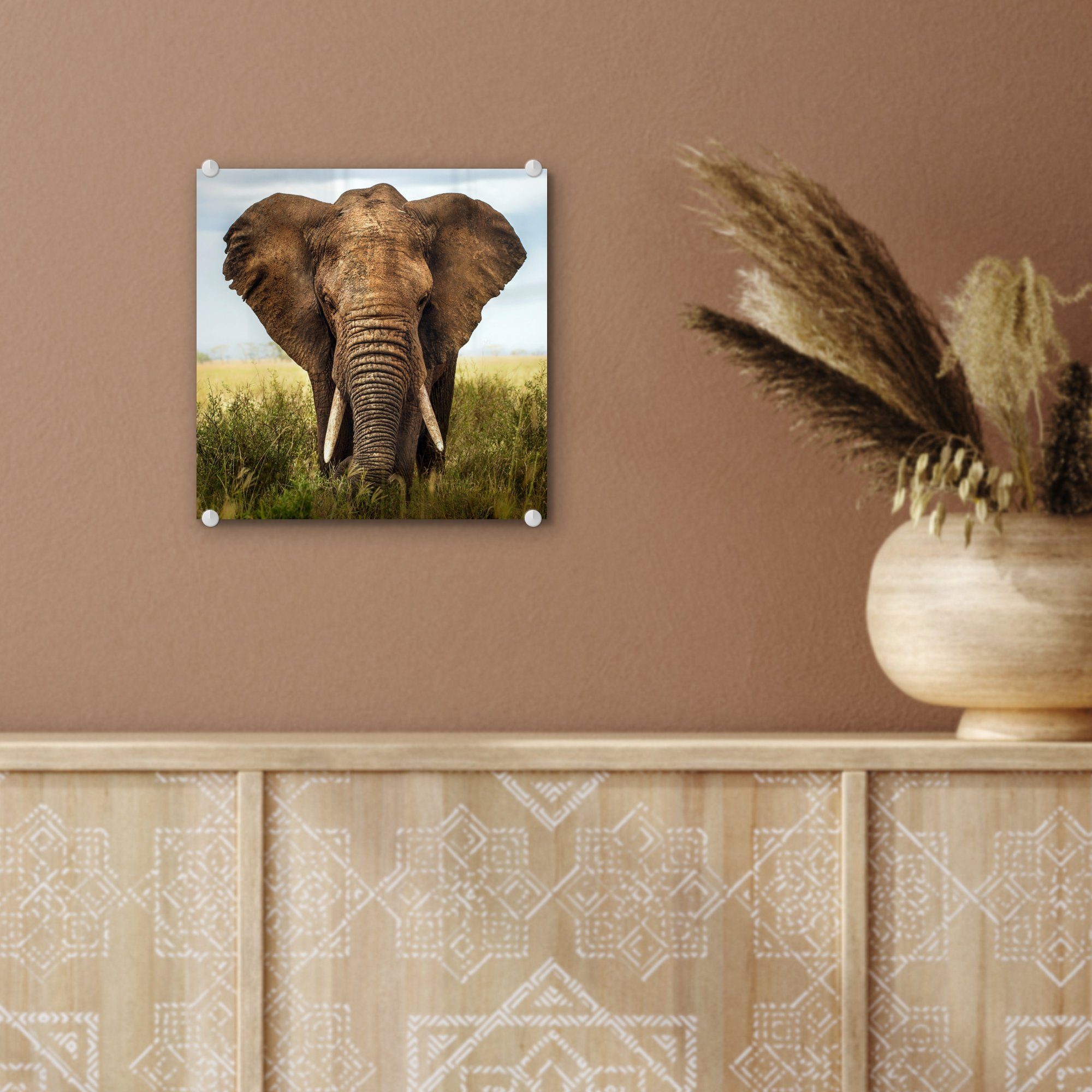 MuchoWow Acrylglasbild Afrikanischer Elefant - Vorderansicht, Foto Glas Glas auf Glasbilder (1 bunt Wandbild Wanddekoration St), auf Bilder - 
