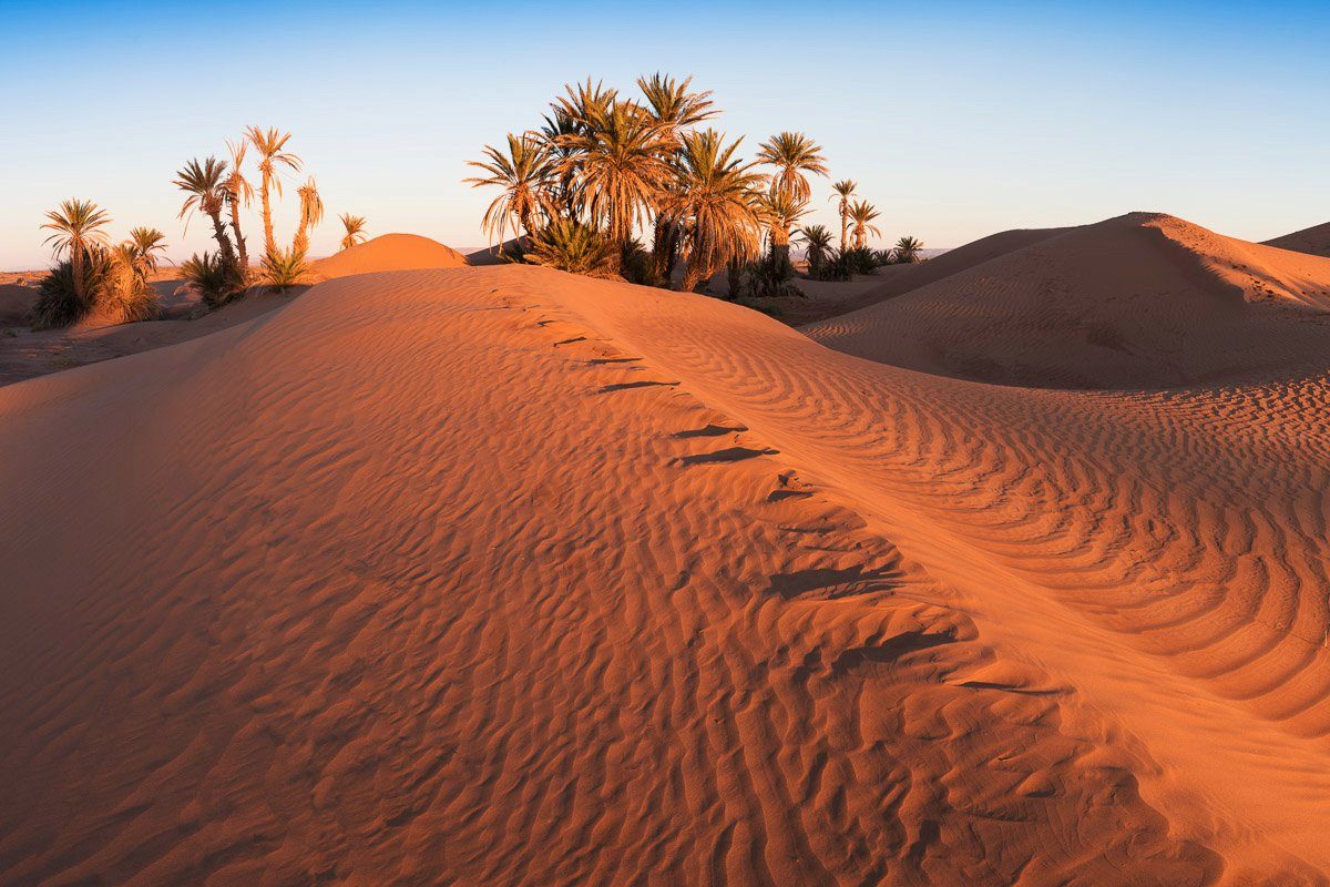 Wüste Fototapete Papermoon