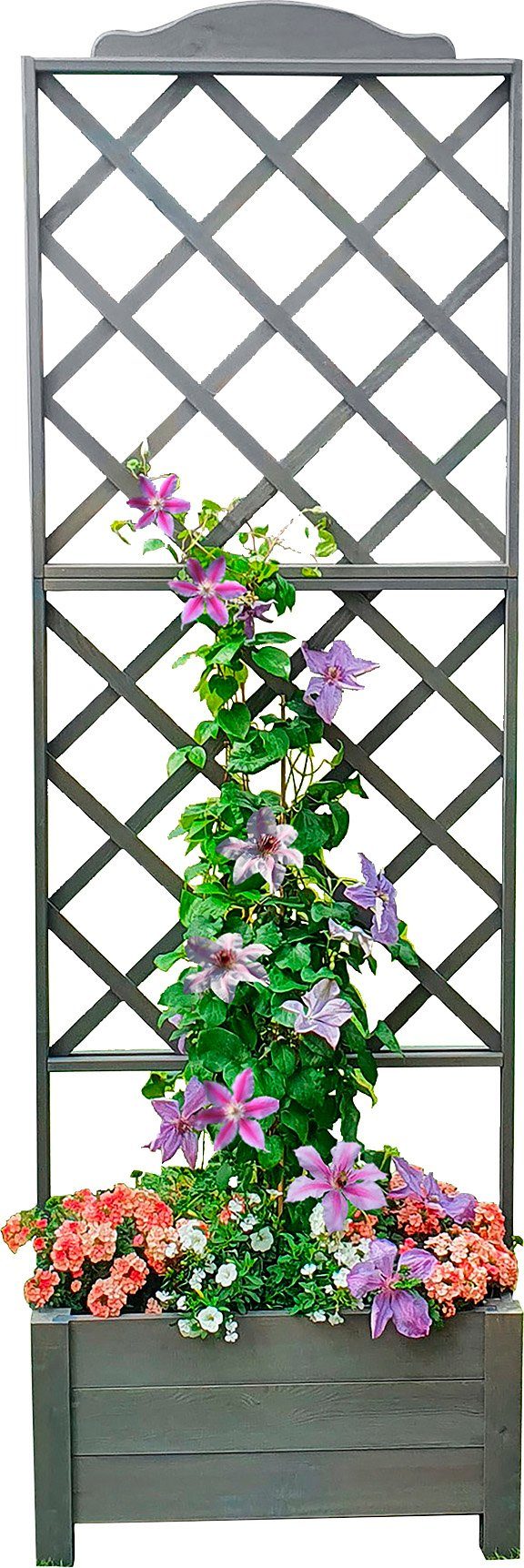 promadino Rankhilfe Botanica, Rankkasten, BxTxH: 69x32x210 günstig online kaufen
