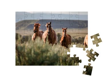 puzzleYOU Puzzle Amerikanische Quarter Horse Ranch Pferde, Wyoming, 48 Puzzleteile, puzzleYOU-Kollektionen Pferde, Westernpferde
