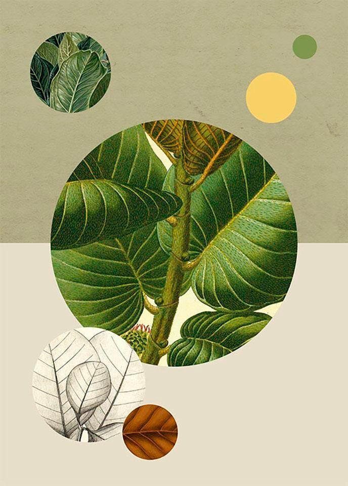 Komar Bild Green Structure, Blätter, Pflanzen (1 St), Wandbild zur Dekoration - ohne Rahmen