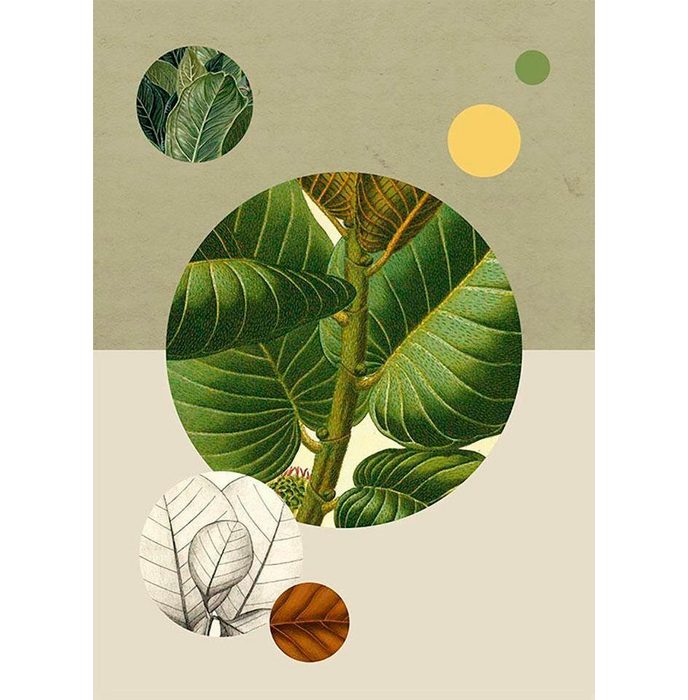 Komar Poster Green Structure Blätter Pflanzen Höhe: 40cm