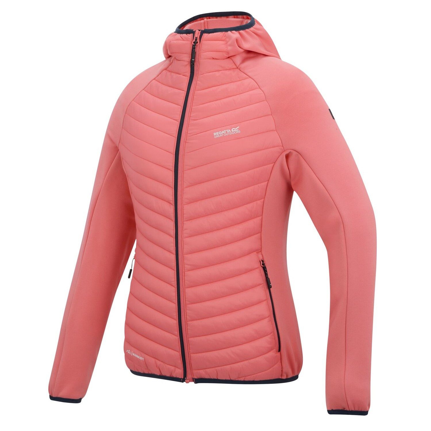 Regatta Softshelljacke Andreson Hybrid Softshelljacke günstig online kaufen