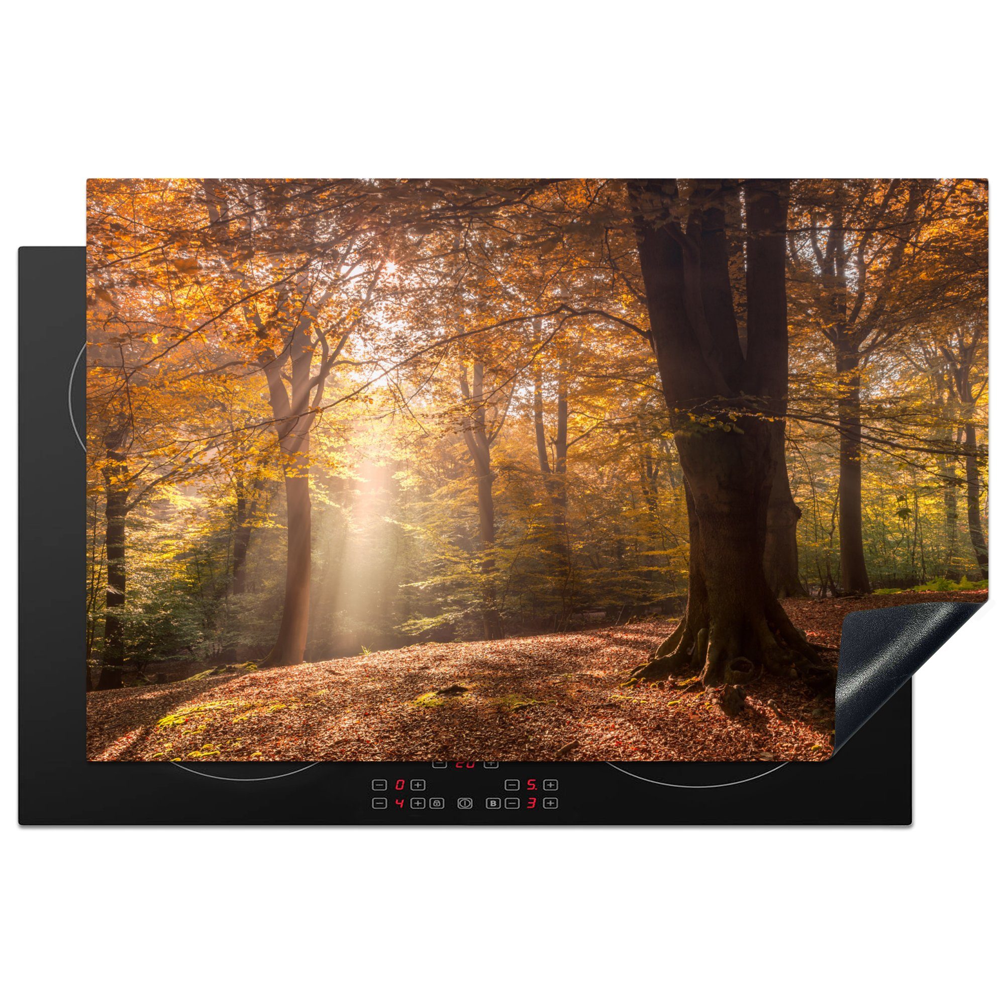 MuchoWow Herdblende-/Abdeckplatte Herbst - Licht - Wald, Vinyl, (1 tlg), 81x52 cm, Induktionskochfeld Schutz für die küche, Ceranfeldabdeckung