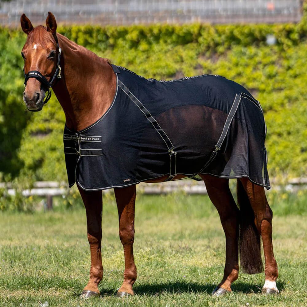 Back on track Ausreitdecke Back on Track Cooler-Decke Sienna