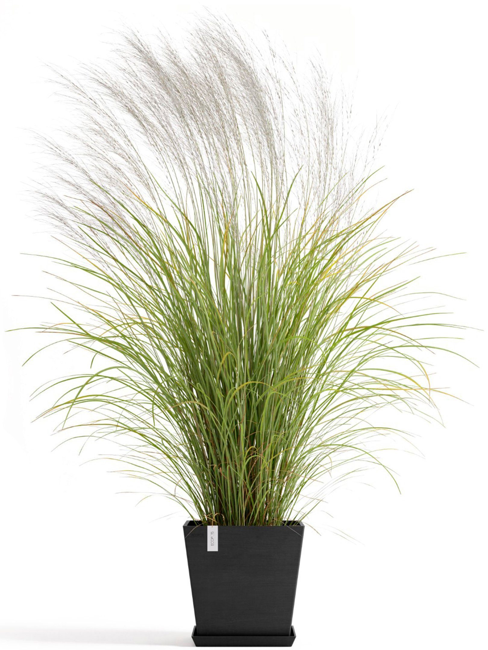 ECOPOTS Blumentopf Rotterdam 35 + Wassersystem günstig online kaufen