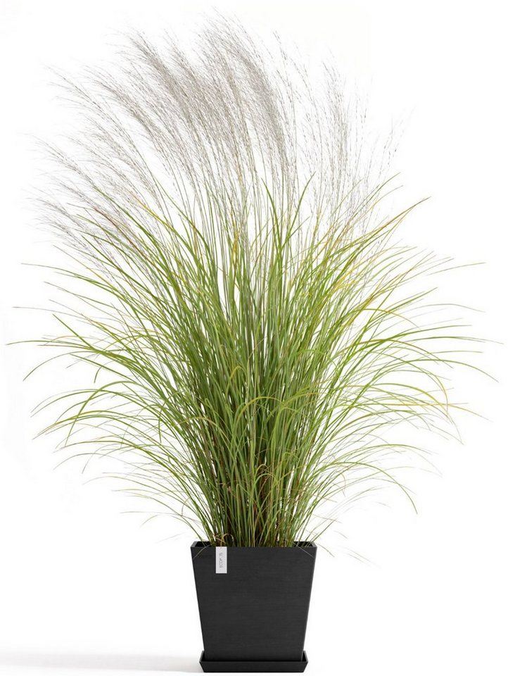 Thumbnail - ECOPOTS Blumentopf Rotterdam 35 + Wassersystem Dunkelgrau, für innen und außen: frostsicher, bruchsicher und lichtbestän...