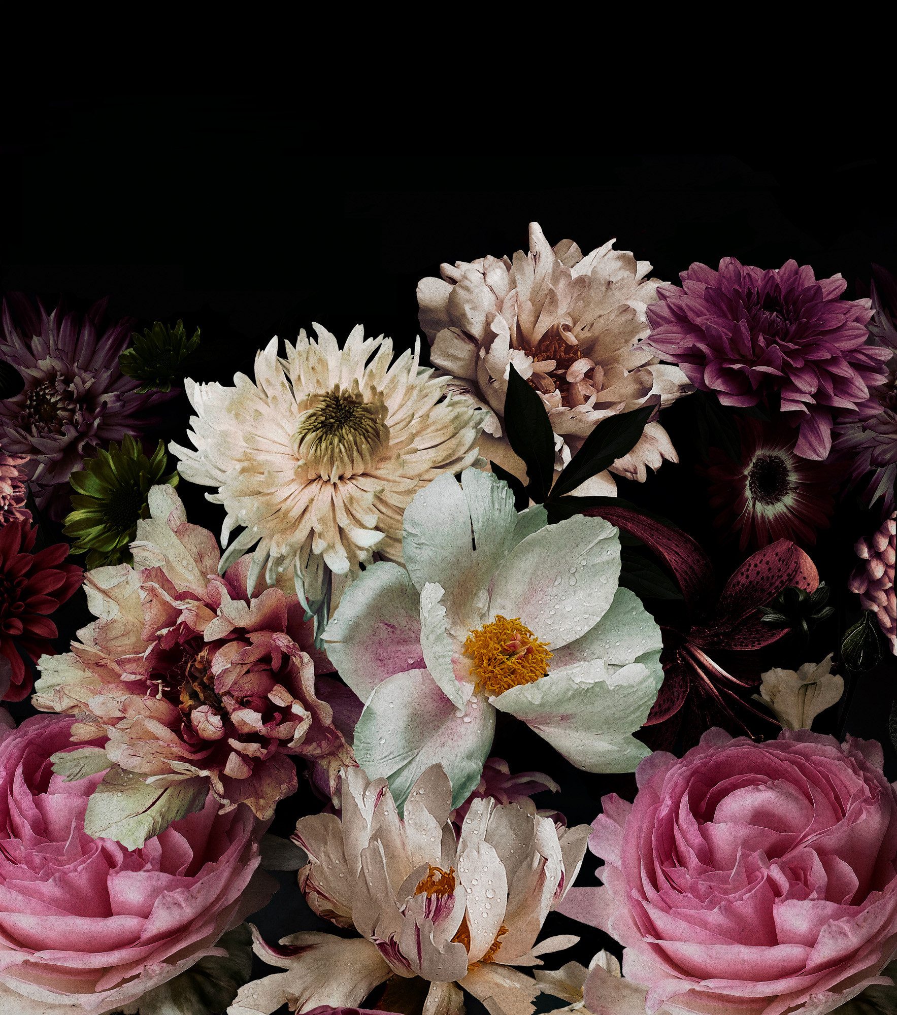 Rasch Fototapete Blumen-Strauß Astern & Pfingstrosen - Vliestapete Schwarz Rosa, floral, bedruckt, (1 Rolle, 1 St., Kollektion 'Magicwalls' - 3 m x 2,65 m), Lichtbeständige Farben - Feucht abwischbar - Restlost abziehbar