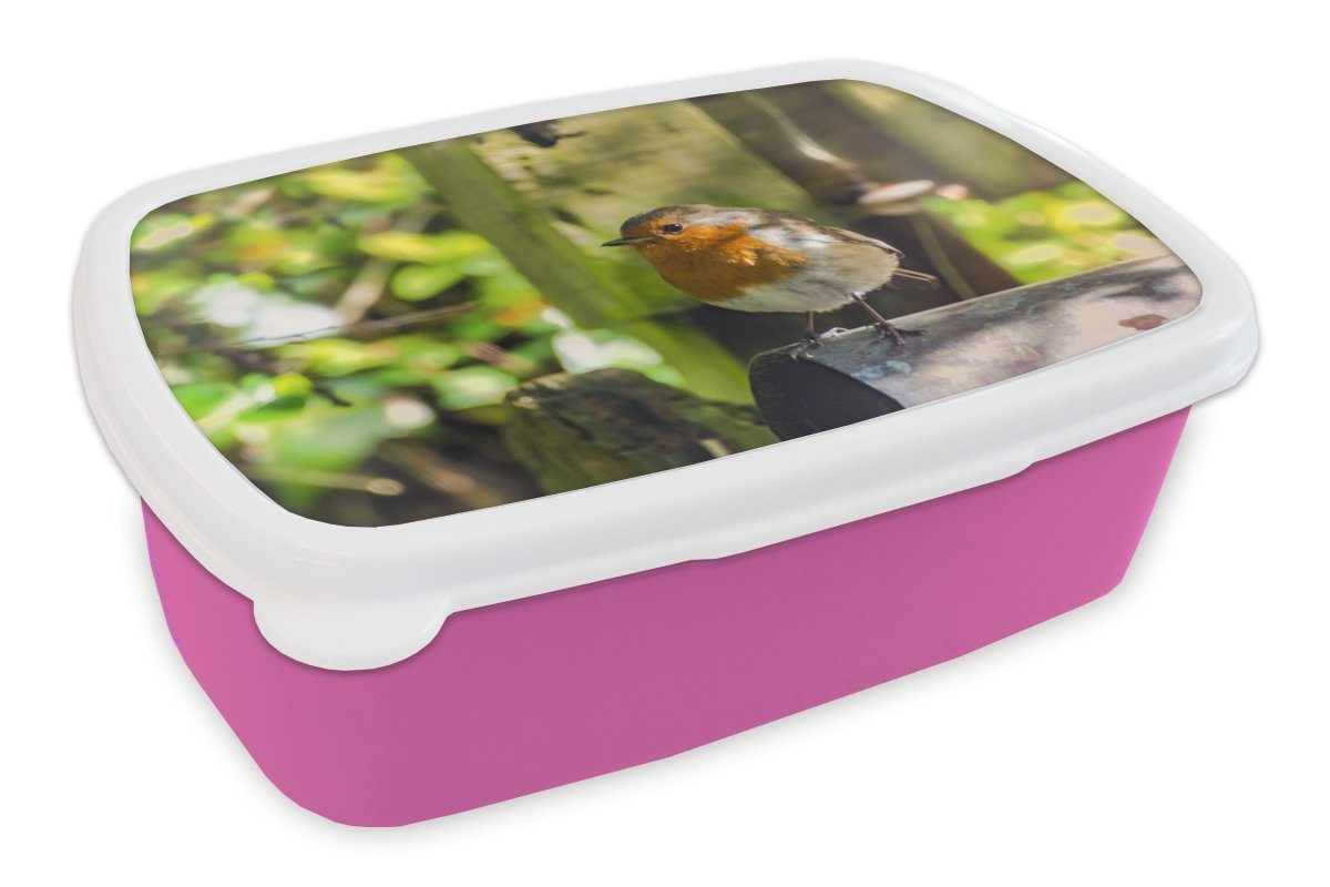 MuchoWow Lunchbox Vogel - Laub - Garten, Kunststoff, (2-tlg), Brotbox für Erwachsene, Brotdose Kinder, Snackbox, Mädchen, Kunststoff rosa