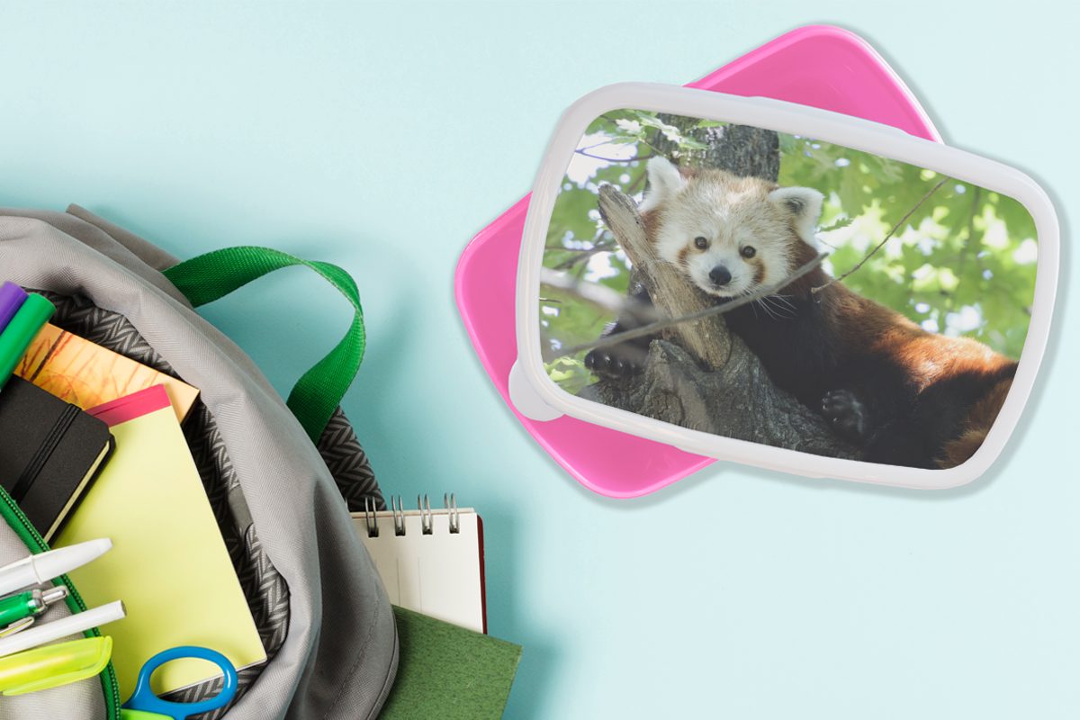 MuchoWow Baum - Erwachsene, Roter Grün, Kunststoff, für Snackbox, Panda Mädchen, Kunststoff Brotdose (2-tlg), - Lunchbox Kinder, Brotbox rosa